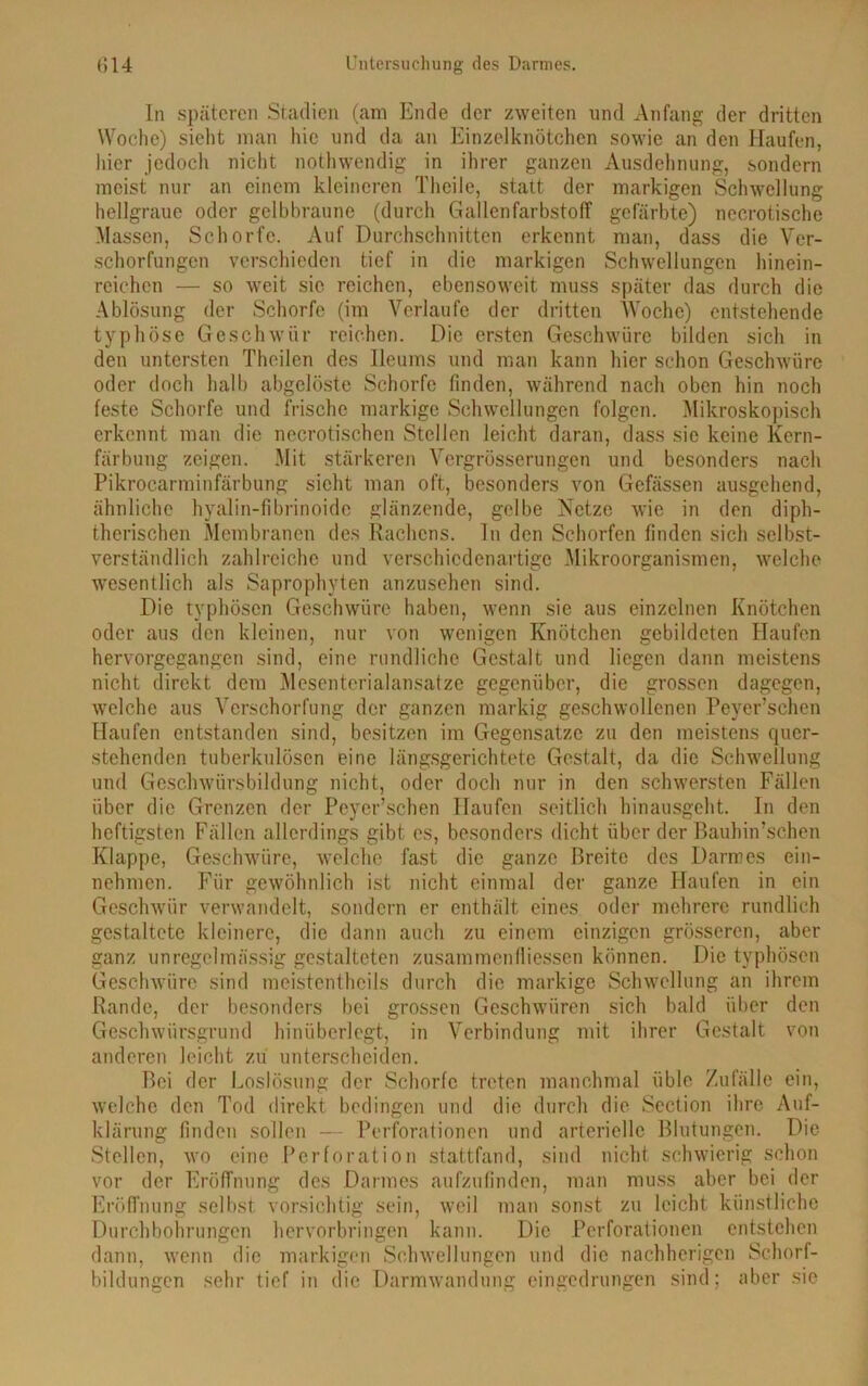 In späteren Stadien (am Ende der zweiten und Anfang der dritten Woche) sieht man hie und da an Einzelknötchcn sowie an den Haufen, hier jedoch nicht nothwendig in ihrer ganzen Ausdehnung, sondern meist nur an einem kleineren Theile, statt der markigen Schwellung hellgraue oder gelbbraune (durch Gallenfarbstoff gefärbte) necrotische Massen, Schorfe. Auf Durchschnitten erkennt man, dass die Ver- schorfungen verschieden tief in die markigen Schwellungen hinein- reichen — so weit sie reichen, ebensoweit muss später das durch die Ablösung der Schorfe (im Verlaufe der dritten Woche) entstehende typhöse Geschwür reichen. Die ersten Geschwüre bilden sich in den untersten Theilen des lleums und man kann hier schon Geschwüre oder doch halb abgelöste Schorfe finden, während nach oben hin noch feste Schorfe und frische markige Schwellungen folgen. Mikroskopisch erkennt man die necrotischen Stellen leicht daran, dass sic keine Kern- färbung zeigen. Mit stärkeren Vergrüsserungen und besonders nach Pikrocarminfärbung sicht man oft, besonders von Gcfässen ausgehend, ähnliche hyalin-fibrinoide glänzende, gelbe Netze wie in den diph- therischen Membranen des Rachens. In den Schorfen finden sich selbst- verständlich zahlreiche und verschiedenartige Mikroorganismen, welche wesentlich als Saprophyten anzusehen sind. Die typhösen Geschwüre haben, wenn sie aus einzelnen Knötchen oder aus den kleinen, nur von wenigen Knötchen gebildeten Haufen hervorgegangen sind, eine rundliche Gestalt und liegen dann meistens nicht direkt dem Mesentcrialansatze gegenüber, die grossen dagegen, welche aus Verschorfung der ganzen markig geschwollenen Peyer’schen Haufen entstanden sind, besitzen im Gegensätze zu den meistens quer- stehenden tuberkulösen eine längsgerichtete Gestalt, da die Schwellung und Geschwürsbildung nicht, oder doch nur in den schwersten Fällen über die Grenzen der Peyer’schen Haufen seitlich hinausgeht. In den heftigsten Fällen allerdings gibt cs, besonders dicht über der Bauhin’schen Klappe, Geschwüre, welche fast die ganze Breite des Darmes ein- nehmen. Für gewöhnlich ist nicht einmal der ganze Haufen in ein Geschwür verwandelt, sondern er enthält eines oder mehrere rundlich gestaltete kleinere, die dann auch zu einem einzigen grösseren, aber ganz unregelmässig gestalteten z usam men fl i essen können. Die typhösen Geschwüre sind meistentheils durch die markige Schwellung an ihrem Rande, der besonders bei grossen Geschwüren sich bald über den Geschwürsgrund hinüberlegt, in Verbindung mit ihrer Gestalt von anderen leicht zu unterscheiden. Bei der Loslösung der Schorfe treten manchmal üble Zufälle ein, welche den Tod direkt bedingen und die durch die Section ihre Auf- klärung finden sollen — Perforationen und arterielle Blutungen. Die Stellen, wo eine Perforation stattfand, sind nicht schwierig schon vor der Eröffnung des Darmes aufzufinden, man muss aber bei der Eröffnung selbst vorsichtig sein, weil man sonst zu leicht künstliche Durchbohrungen hervorbringen kann. Die Perforationen entstehen dann, wenn die markigen Schwellungen und die nachherigen Schorf- bildungen sehr tief in die Darmwandung eingedrungen sind; aber sie