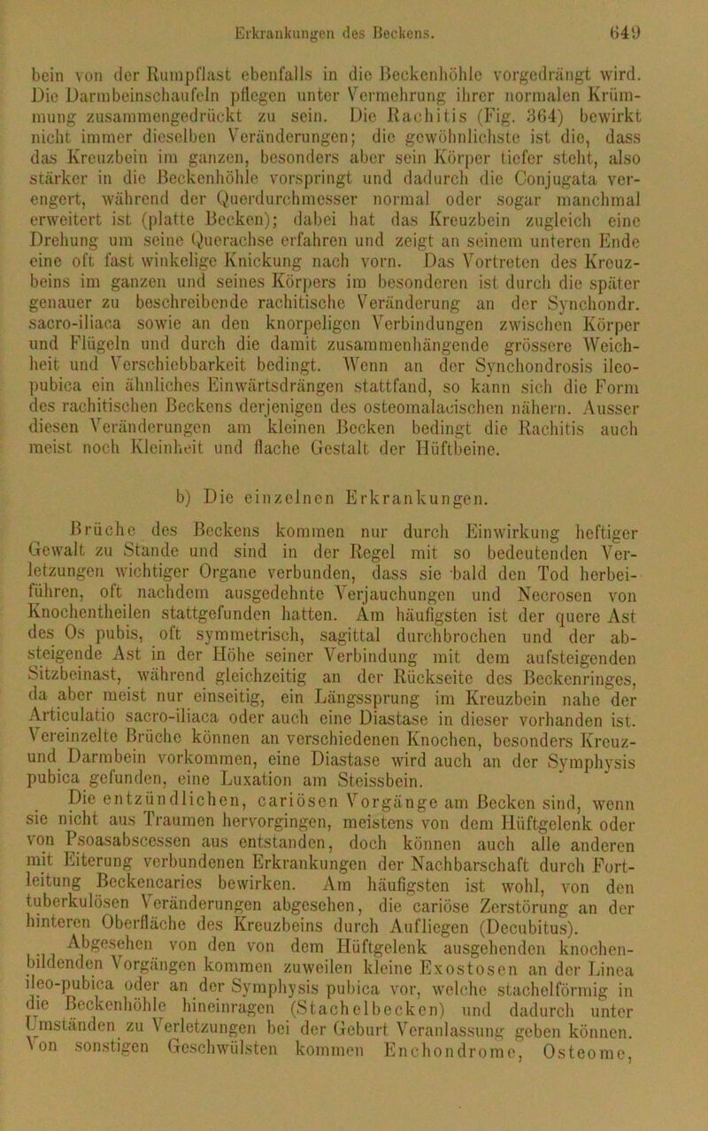 bein von der Rumpflast ebenfalls in die Beckenhöhle vorgedrängt wird. Die Darmbeinschaufeln pliegen unter Vermehrung ihrer normalen Krüm- mung zusammengedrückt zu sein. Die Rachitis (Fig. 364) bewirkt nicht immer dieselben Veränderungen; die gewöhnlichste ist die, dass das Kreuzbein im ganzen, besonders aber sein Körper tiefer steht, also stärker in die Beckenhöhle vorspringt und dadurch die Conjugata ver- engert, während der Querdurchmesser normal oder sogar manchmal erweitert ist (platte Becken); dabei hat das Kreuzbein zugleich eine Drehung um seine Querachse erfahren und zeigt an seinem unteren Ende eine oft fast winkelige Knickung nach vorn. Das Vortreten des Kreuz- beins im ganzen und seines Körpers im besonderen ist durch die später genauer zu beschreibende rachitische Veränderung an der Synchondr. sacro-iliaca sowie an den knorpeligen Verbindungen zwischen Körper und Flügeln und durch die damit zusammenhängende grössere Weich- heit und Verschiebbarkeit bedingt. Wenn an der Synchondrosis ileo- pubica ein ähnliches Einwärtsdrängen stattfand, so kann sich die Form des rachitischen Beckens derjenigen des osteomalaeischen nähern. Ausser diesen Veränderungen am kleinen Becken bedingt die Rachitis auch meist noch Kleinheit und flache Gestalt der Hüftbeine. b) Die einzelnen Erkrankungen. Brüche des Beckens kommen nur durch Einwirkung heftiger Gewalt zu Stande und sind in der Regel mit so bedeutenden Ver- letzungen wichtiger Organe verbunden, dass sie bald den Tod herbei- führen, oft nachdem ausgedehnte Verjauchungen und Necrosen von Knochentheilen stattgefunden hatten. Am häufigsten ist der quere Ast des Os pubis, oft symmetrisch, sagittal durchbrochen und der ab- steigende Ast in der Höhe seiner Verbindung mit dem aufsteigenden Sitzbeinast, während gleichzeitig an der Rückseite des Beckenringes, da aber meist nur einseitig, ein Längssprung im Kreuzbein nahe der Articulatio sacro-iliaca oder auch eine Diastase in dieser vorhanden ist. Vereinzelte Brüche können an verschiedenen Knochen, besonders Kreuz- und Darmbein Vorkommen, eine Diastase wird auch an der Symphysis pubica gefunden, eine Luxation am Steissbein. Die entzündlichen, cariösen Vorgänge am Becken sind, wenn sie nicht aus Traumen hervorgingen, meistens von dem Hüftgelenk oder von Psoasabscessen aus entstanden, doch können auch alle anderen mit Eiterung verbundenen Erkrankungen der Nachbarschaft durch Fort- leitung Beckencaries bewirken. Am häufigsten ist wohl, von den tuberkulösen Veränderungen abgesehen, die cariöse Zerstörung an der hinteren Oberfläche des Kreuzbeins durch Aufliegen (Decubitus). Abgesehen von den von dem Hüftgelenk ausgehenden knochen- j)ildenden Vorgängen kommen zuweilen kleine Exostosen an der Linea ileo-pubica oder an der Symphysis pubica vor, welche stachelförmig in die Beckenhöhle hineinragen (Stachelbecken) und dadurch unter Entständen zu Verletzungen bei der Geburt Veranlassung geben können. Von sonstigen Geschwülsten kommen Enchondrome, Osteome,