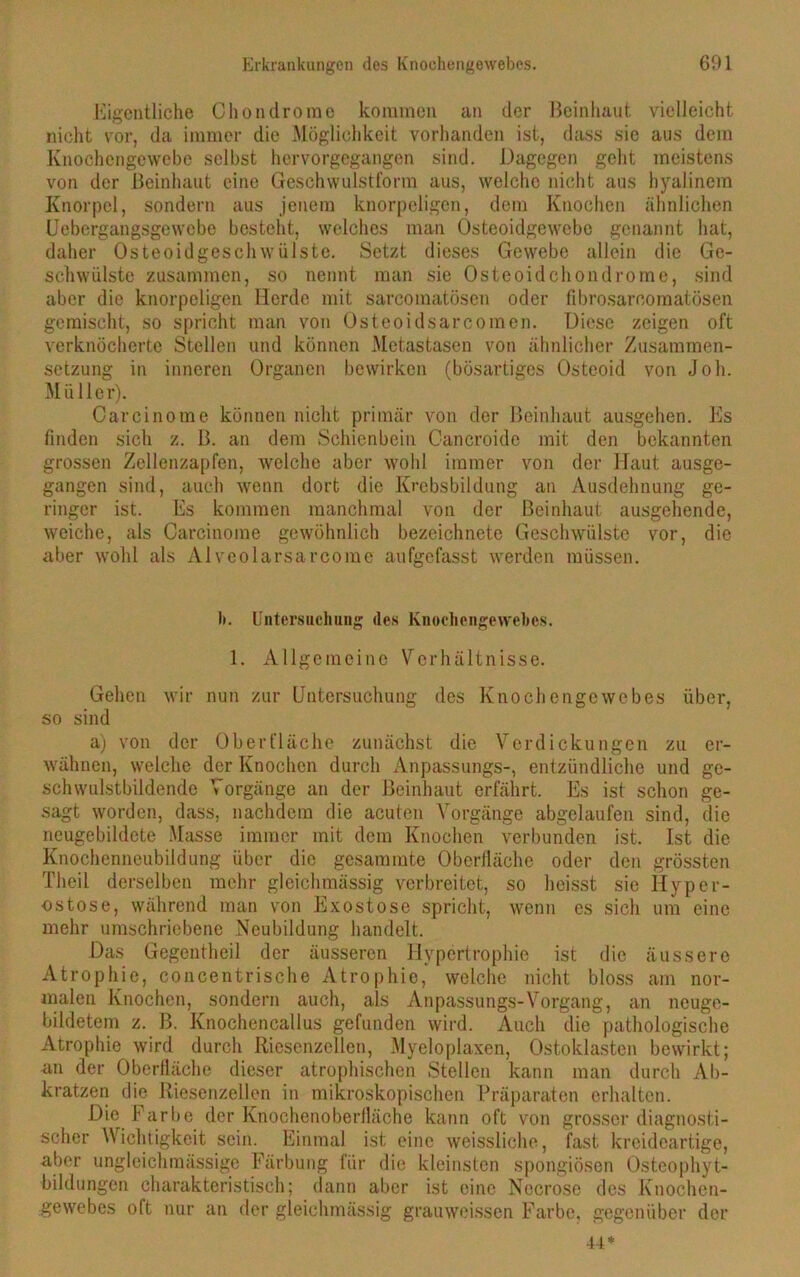 Eigentliche Chondrome kommen an der Beinhaut vielleicht nicht vor, da immer die Möglichkeit vorhanden ist, dass sie aus dem Knochengewebe selbst hervorgegangen sind. Dagegen geht meistens von der Beinhaut eine Geschwulstform aus, welche nicht aus hyalinem Knorpel, sondern aus jenem knorpeligen, dem Knochen ähnlichen Uebergangsgewcbe besteht, welches man Osteoidgewebe genannt hat, daher Osteoidgeschwülste. Setzt dieses Gewebe allein die Ge- schwülste zusammen, so nennt man sie Osteoidchondrome, sind aber die knorpeligen Herde mit sarcomatösen oder fibrosarcomatösen gemischt, so spricht man von Osteoidsarcomen. Diese zeigen oft verknöcherte Stellen und können Metastasen von ähnlicher Zusammen- setzung in inneren Organen bewirken (bösartiges Osteoid von Job. Müller). Carcinome können nicht primär von der Beinhaut ausgehen. Es finden sich z. B. an dem Schienbein Cancroide mit den bekannten grossen Zellenzapfen, welche aber wohl immer von der Haut ausge- gangen sind, auch wenn dort die Krebsbildung an Ausdehnung ge- ringer ist. Es kommen manchmal von der Beinhaut ausgehende, weiche, als Carcinome gewöhnlich bezeichnete Geschwülste vor, die aber wohl als Alveolarsarcome aufgefasst werden müssen. li. Untersuchung des Knochengewebes. 1. Allgemeine Verhältnisse. Gehen wir nun zur Untersuchung des Knochengewebes über, so sind a) von der Oberfläche zunächst die Verdickungen zu er- wähnen, welche der Knochen durch Anpassungs-, entzündliche und ge- schwulstbildende Vorgänge an der Beinhaut erfährt. Es ist schon ge- sagt worden, dass, nachdem die acuten Vorgänge abgelaufen sind, die neugebildete Masse immer mit dem Knochen verbunden ist. Ist die Knochenneubildung über die gesammte Oberfläche oder den grössten Theil derselben mehr gleichmässig verbreitet, so heisst sie Hyper- ostose, während man von Exostose spricht, wenn es sich um eine mehr umschriebene Neubildung handelt. Das Gegentheil der äusseren Hypertrophie ist die äussere Atrophie, concentrische Atrophie, welche nicht bloss am nor- malen Knochen, sondern auch, als Anpassungs-Vorgang, an neuge- bildetem z. B. Knochencallus gefunden wird. Auch die pathologische Atrophie wird durch Riesenzellen, Myeloplaxen, Ostoklasten bewirkt; an der Oberfläche dieser atrophischen Stellen kann man durch Ab- kratzen die Riesenzellen in mikroskopischen Präparaten erhalten. Die Farbe der Knochenoberfläche kann oft von grosser diagnosti- scher Wichtigkeit sein. Einmal ist eine weissliohe, fast kreideartige, aber ungleichmässige Färbung für die kleinsten spongiösen Osteophyt- bildungen charakteristisch; dann aber ist eine Necrose des Knochen- gewebes oft nur an der gleichmässig grauweissen Farbe, gegenüber der