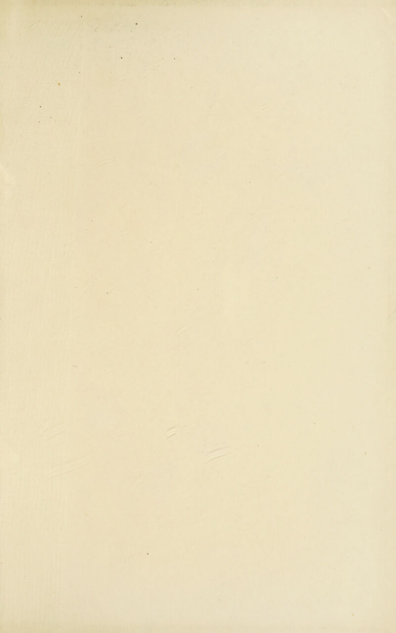 Pf ‘ ^Wr - -' ' • ‘•' «•■’ I-'--*■■ 2- ?■ ■-^:%m - ,y ■ \ f <-.Kvy , ^ . •• *v >''>■ 5l' I ; —y ■ J • •A-