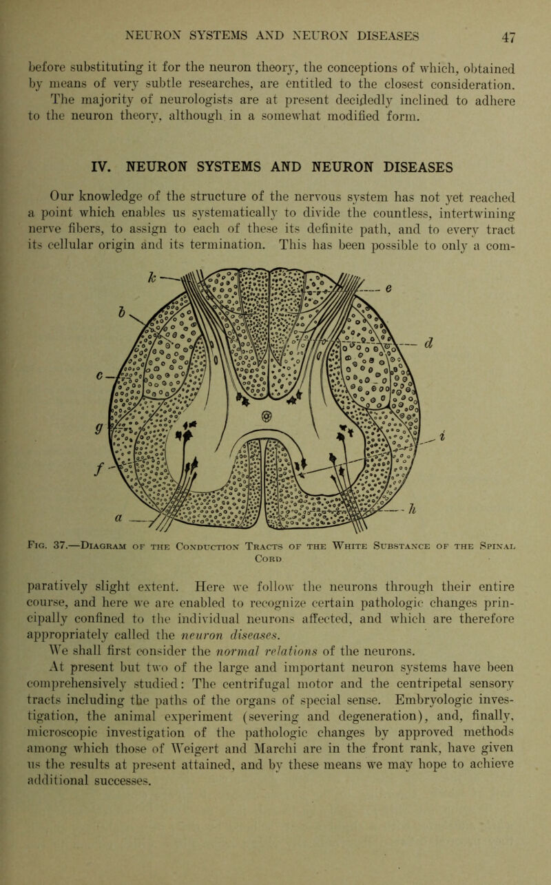 before substituting it for the neuron theory, the conceptions of which, obtained by means of very subtle researches, are entitled to the closest consideration. The majority of neurologists are at present decidedly inclined to adhere to the neuron theory, although in a somewhat modified form. IV. NEURON SYSTEMS AND NEURON DISEASES Our knowledge of the structure of the nervous system has not yet reached a point which enables us systematically to divide the countless, intertwining nerve fibers, to assign to each of these its definite path, and to every tract its cellular origin and its termination. This has been possible to only a com- Fig. 37.—Diagram of the Conduction Tracts of the White Substance of the Spinal Cord paratively slight extent. Here we follow the neurons through their entire course, and here we are enabled to recognize certain pathologic changes prin- cipally confined to the individual neurons affected, and which are therefore appropriately called the neuron diseases. We shall first consider the normal relations of the neurons. At present but two of the large and important neuron systems have been comprehensively studied: The centrifugal motor and the centripetal sensory tracts including the paths of the organs of special sense. Embryologie inves- tigation, the animal experiment (severing and degeneration), and, finally, microscopic investigation of the pathologic changes by approved methods among which those of Weigert and Marchi are in the front rank, have given us the results at present attained, and by these means we may hope to achieve additional successes. / 9 c