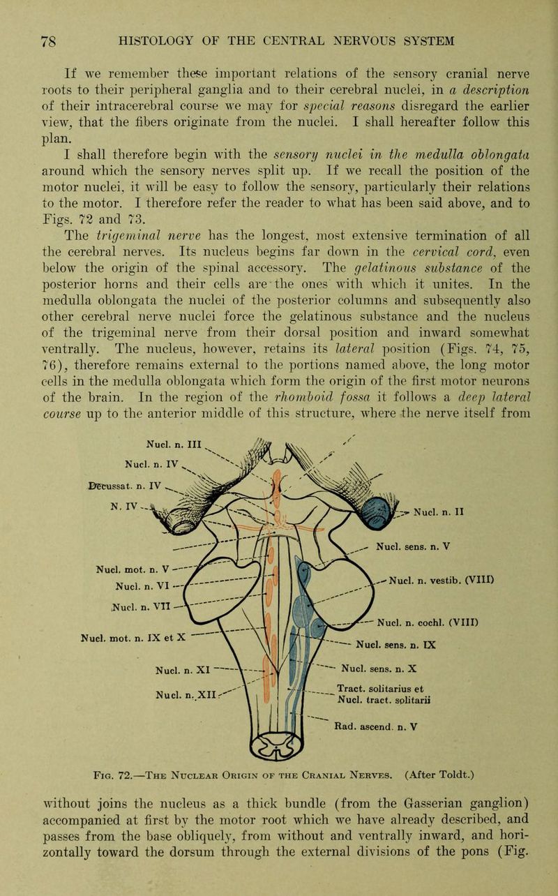 If we remember these important relations of the sensory cranial nerve roots to their peripheral ganglia and to their cerebral nuclei, in a description of their intracerebral course we may for special reasons disregard the earlier view, that the fibers originate from the nuclei. I shall hereafter follow this plan. I shall therefore begin with the sensory nuclei in the medulla oblongata around which the sensory nerves split up. If we recall the position of the motor nuclei, it will be easy to follow the sensory, particularly their relations to the motor. I therefore refer the reader to what has been said above, and to Figs. 72 and 73. The trigeminal nerve has the longest, most extensive termination of all the cerebral nerves. Its nucleus begins far down in the cervical cord, even below the origin of the spinal accessory. The gelatinous substance of the posterior horns and their cells are the ones with which it unites. In the medulla oblongata the nuclei of the posterior columns and subsequently also other cerebral nerve nuclei force the gelatinous substance and the nucleus of the trigeminal nerve from their dorsal position and inward somewhat ventrally. The nucleus, however, retains its lateral position (Figs. 74, 75, 76), therefore remains external to the portions named above, the long motor cells in the medulla oblongata which form the origin of the first motor neurons of the brain. In the region of the rhomboid fossa it follows a deep lateral course up to the anterior middle of this structure, where the nerve itself from Fig. 72.—The Nuclear Origin of the Cranial Nerves. (After Toldt.) without joins the nucleus as a thick bundle (from the Gasserian ganglion) accompanied at first by the motor root which we have already described, and passes from the base obliquely, from without and ventrally inward, and hori- zontally toward the dorsum through the external divisions of the pons (Fig.
