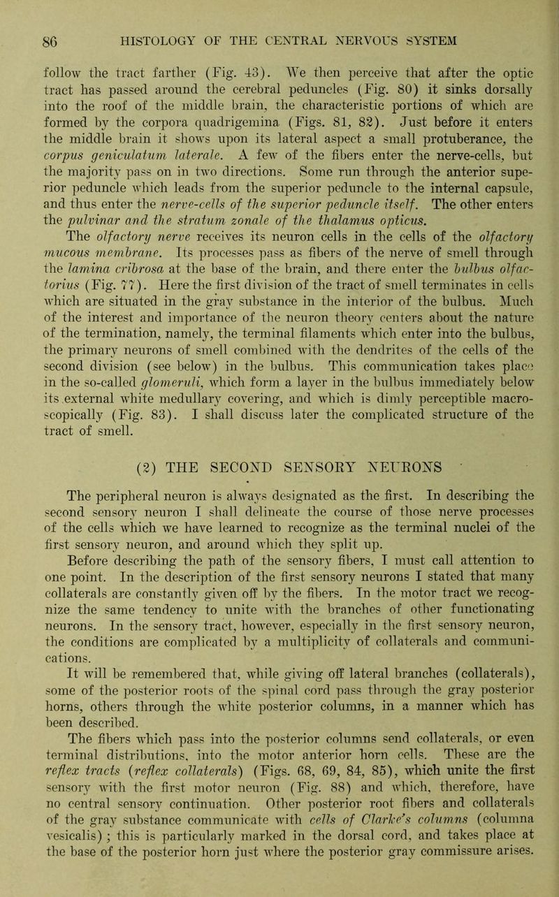 follow the tract farther (Fig. 43). We then perceive that after the optic tract has passed around the cerebral peduncles (Fig. 80) it sinks dorsally into the roof of the middle brain, the characteristic portions of which are formed by the corpora quadrigemina (Figs. 81, 82). Just before it enters the middle brain it shows upon its lateral aspect a small protuberance, the corpus geniculatum laterale. A few of the fibers enter the nerve-cells, but the majority pass on in two directions. Some run through the anterior supe- rior peduncle which leads from the superior peduncle to the internal capsule, and thus enter the nerve-cells of the superior peduncle itself. The other enters the pulvinar and the stratum zonale of the thalamus opticus. The olfactory nerve receives its neuron cells in the cells of the olfactory mucous membrane. Its processes pass as fibers of the nerve of smell through the lamina cribrosa at the base of the brain, and there enter the bulbus olfac- torius (Fig. 77). Here the first division of the tract of smell terminates in cells which are situated in the gray substance in the interior of the bulbus. Much of the interest and importance of the neuron theory centers about the nature of the termination, namely, the terminal filaments which enter into the bulbus, the primary neurons of smell combined with the dendrites of the cells of the second division (see below) in the bulbus. This communication takes place in the so-called glomeruli, which form a layer in the bulbus immediately below its external white medullary covering, and which is dimly perceptible macro- scopically (Fig. 83). I shall discuss later the complicated structure of the tract of smell. (2) THE SECOND SENSORY NEURONS The peripheral neuron is always designated as the first. In describing the second sensory neuron I shall delineate the course of those nerve processes of the cells which we have learned to recognize as the terminal nuclei of the first sensory neuron, and around which they split up. Before describing the path of the sensory fibers, I must call attention to one point. In the description of the first sensory neurons I stated that many collaterals are constantly given off by the fibers. In the motor tract we recog- nize the same tendency to unite with the branches of other functionating neurons. In the sensory tract, however, especially in the first sensory neuron, the conditions are complicated by a multiplicity of collaterals and communi- cations. It will be remembered that, while giving off lateral branches (collaterals), some of the posterior roots of the spinal cord pass through the gray posterior horns, others through the Avhite posterior columns, in a manner which has been described. The fibers which pass into the posterior columns send collaterals, or even terminal distributions, into the motor anterior horn cells. These are the reflex tracts (reflex collaterals) (Figs. 68, 69, 84, 85), which unite the first sensory with the first motor neuron (Fig. 88) and which, therefore, have no central sensory continuation. Other posterior root fibers and collaterals of the gray substance communicate with cells of Clarice's columns (columna vesicalis) ; this is particularly marked in the dorsal cord, and takes place at the base of the posterior horn just where the posterior gray commissure arises.