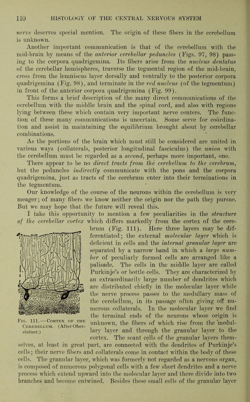 nerve deserves special mention. The origin of these fibers in the cerebellum is unknown. Another important communication is that of the cerebellum with the mid-brain by means of the anterior cerebellar peduncles (Figs. 97, 98) pass- ing to the corpora quadrigemina. Its fibers arise from the nucleus dentatus of the cerebellar hemispheres, traverse the tegmental region of the mid-brain, cross from the lemniscus layer dorsally and ventrally to the posterior corpora quadrigemina (Fig. 98), and terminate in the red nucleus (of the tegmentum) in front of the anterior corpora quadrigemina (Fig. 99). This forms a brief description of the many direct communications of the cerebellum with the middle brain and the spinal cord, and also with regions lying between these which contain very important nerve centers. The func- tion of these many communications is uncertain. Some serve for coordina- tion and assist in maintaining the equilibrium brought about by cerebellar combinations. As the portions of the brain which must still be considered are united in various ways (collaterals, posterior longitudinal fasciculus) the union with the cerebellum must be regarded as a second, perhaps more important, one. There appear to be no direct tracts from the cerebellum to the cerebrum, but the peduncles indirectly communicate with the pons and the corpora quadrigemina, just as tracts of the cerebrum enter into their terminations in the tegmentum. Our knowledge of the course of the neurons within the cerebellum is very meager; of many fibers we know neither the origin nor the path they pursue. But we may hope that the future will reveal this. I take this opportunity to mention a few peculiarities in the structure of the cerebellar cortex which differs markedly from the cortex of the cere- brum (Fig. 111). Here three layers may be dif- ferentiated; the external molecular layer which is deficient in cells and the internal granular layer are separated by a narrow band in which a large num- ber of peculiarly formed cells are arranged like a palisade. The cells in the middle layer are called Purkinje’s or bottle cells. They are characterized by an extraordinarily large number of dendrites which are distributed chiefly in the molecular layer while the nerve process passes to the medullary mass of the cerebellum, in its passage often giving off nu- merous collaterals. In the molecular layer we find the terminal ends of the neurons whose origin is unknown, the fibers of which rise from the medul- lary layer and through the granular layer to the cortex. The scant cells of the granular layers them- selves, at least in great part, are connected with the dendrites of Purkinje’s cells; their nerve fibers and collaterals come in contact within the body of these cells. The granular layer, which was formerly not regarded as a nervous organ, is composed of numerous polygonal cells with a few short dendrites and a nerve process which extend upward into the molecular layer and there divide into two branches and become entwined. Besides these small cells of the granular layer Fig. 111.—Cortex of the Cerebellum. (After Ober- steiner.)