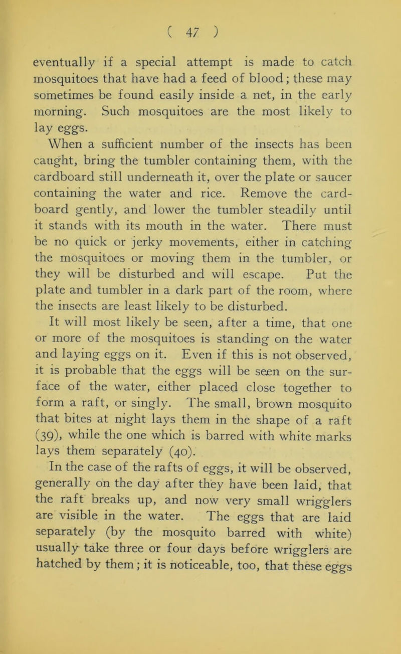 eventually if a special attempt is made to catch mosquitoes that have had a feed of blood; these may sometimes be found easily inside a net, in the early morning. Such mosquitoes are the most likely to lay eggs. When a sufficient number of the insects has been caught, bring the tumbler containing them, with the cardboard still underneath it, over the plate or saucer containing the water and rice. Remove the card- board gently, and lower the tumbler steadily until it stands with its mouth in the water. There must be no quick or jerky movements, either in catching the mosquitoes or moving them in the tumbler, or they will be disturbed and will escape. Put the plate and tumbler in a dark part of the room, where the insects are least likely to be disturbed. It will most likely be seen, after a time, that one or more of the mosquitoes is standing on the water and laying eggs on it. Even if this is not observed, it is probable that the eggs will be seen on the sur- face of the water, either placed close together to form a raft, or singly. The small, brown mosquito that bites at night lays them in the shape of a raft (39), while the one which is barred with white marks lays them separately (40). In the case of the rafts of eggs, it will be observed, generally on the day after they have been laid, that the raft breaks up, and now very small wrigglers are visible in the water. The eggs that are laid separately (by the mosquito barred with white) usually take three or four days before wrigglers are hatched by them ; it is noticeable, too, that these eggs