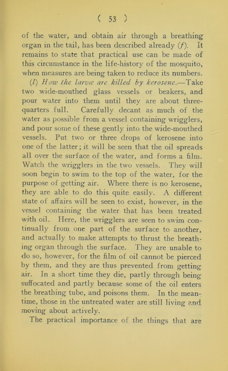 J of the water, and obtain air through a breathing organ in the tail, has been described already (/), It remains to state that practical use can be made of this circumstance in the life-history of the mosquito, when measures are being taken to reduce its numbers. (/) How the larvce are killed by kerosene.—Take two wide-mouthed glass vessels or beakers, and pour water into them until they are about three- quarters full. Carefully decant as much of the water as possible from a vessel containing wrigglers, and pour some of these gently into the wide-mouthed vessels. Put two or three drops of kerosene into one of the latter; it will be seen that the oil spreads all over the surface of the water, and forms a film. Watch the wrigglers in the two vessels. They will soon begin to swim to the top of the water, for the purpose of getting air. Where there is no kerosene, they are able to do this quite easily. A different state of affairs will be seen to exist, however, in the vessel containing the water that has been treated with oil. Here, the wrigglers are seen to swim con- tinually from one part of the surface to another, and actually to make attempts to thrust the breath- ing organ through the surface. They are unable to do so, however, for the film of oil cannot be pierced by them, and they are thus prevented from getting- air. In a short time they die, partly through being- suffocated and partly because some of the oil enters the breathing tube, and poisons them. In the mean- time, those in the untreated water are still living and moving about actively. The practical importance of the things that are