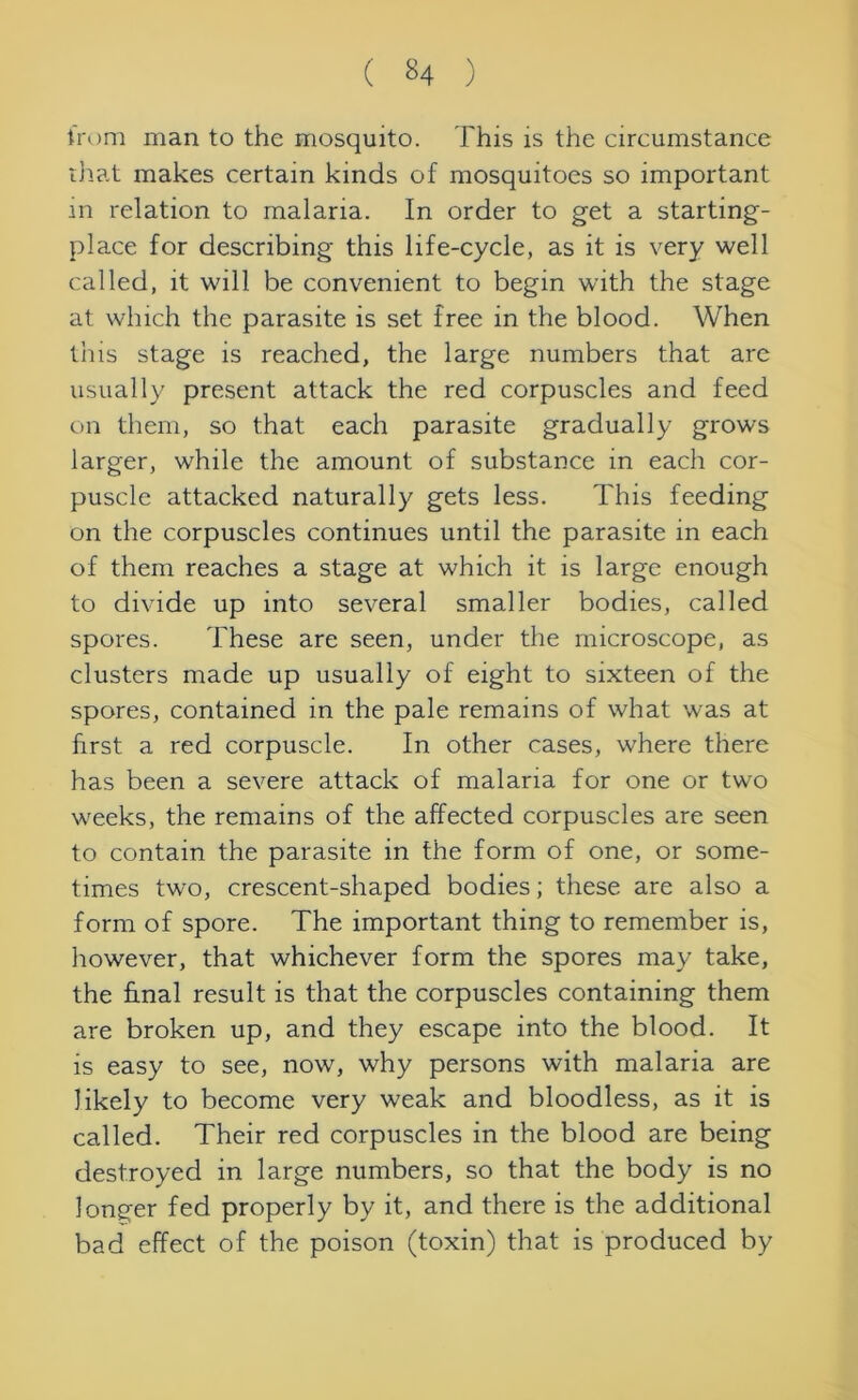 from man to the mosquito. This is the circumstance that makes certain kinds of mosquitoes so important in relation to malaria. In order to get a starting- place for describing this life-cycle, as it is very well called, it will be convenient to begin with the stage at which the parasite is set free in the blood. When this stage is reached, the large numbers that are usually present attack the red corpuscles and feed on them, so that each parasite gradually grows larger, while the amount of substance in each cor- puscle attacked naturally gets less. This feeding on the corpuscles continues until the parasite in each of them reaches a stage at which it is large enough to divide up into several smaller bodies, called spores. These are seen, under the microscope, as clusters made up usually of eight to sixteen of the spores, contained in the pale remains of what was at first a red corpuscle. In other cases, where there has been a severe attack of malaria for one or two weeks, the remains of the affected corpuscles are seen to contain the parasite in the form of one, or some- times two, crescent-shaped bodies; these are also a form of spore. The important thing to remember is, however, that whichever form the spores may take, the final result is that the corpuscles containing them are broken up, and they escape into the blood. It is easy to see, now, why persons with malaria are likely to become very weak and bloodless, as it is called. Their red corpuscles in the blood are being destroyed in large numbers, so that the body is no longer fed properly by it, and there is the additional bad effect of the poison (toxin) that is produced by