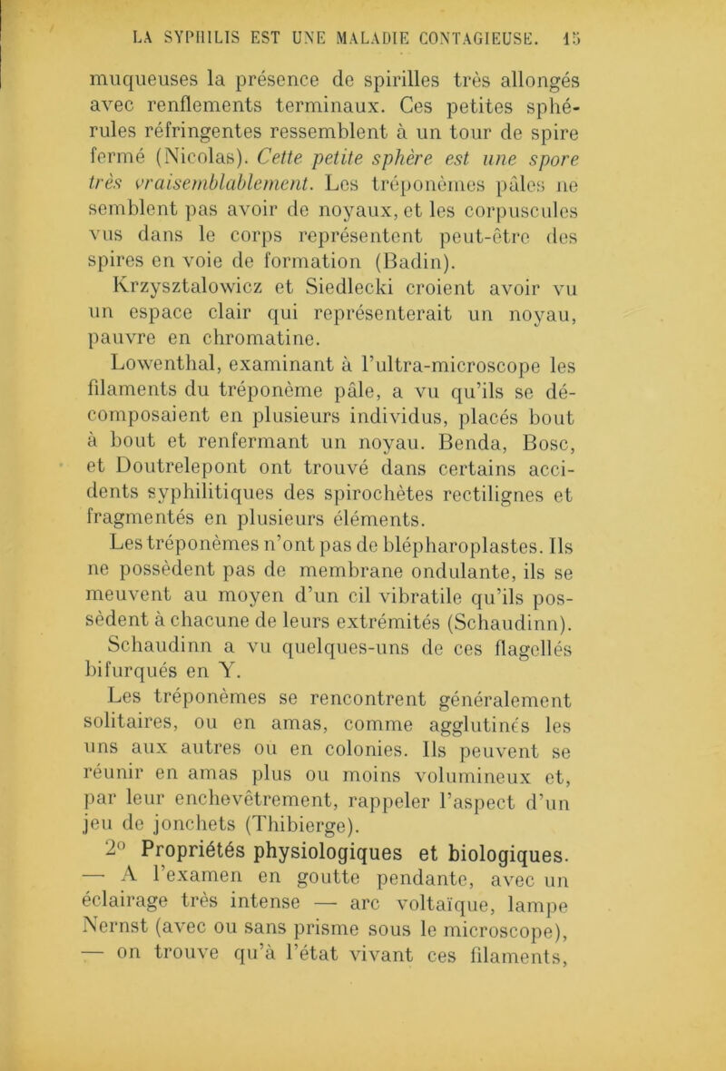 muqueuses la présence de spirilles très allongés avec renflements terminaux. Ces petites sphé- rules réfringentes ressemblent à un tour de spire fermé (Nicolas). Cette petite sphère est une spore très vraisemblablement. Les tréponèmes pâles ne semblent pas avoir de noyaux, et les corpuscules vus dans le corps représentent peut-être des spires en voie de formation (Badin). Krzysztalowicz et Siedlecki croient avoir vu un espace clair qui représenterait un noyau, pauvre en chromatine. Lowenthal, examinant à l’ultra-microscope les filaments du tréponème pâle, a vu qu’ils se dé- composaient en plusieurs individus, placés bout à bout et renfermant un noyau. Benda, Bosc, et Doutrelepont ont trouvé dans certains acci- dents syphilitiques des spirochètes rectilignes et fragmentés en plusieurs éléments. Les tréponèmes n’ont pas de blépharoplastes. Ils ne possèdent pas de membrane ondulante, ils se meuvent au moyen d’un cil vibratile qu’ils pos- sèdent à chacune de leurs extrémités (Schaudinn). Schaudinn a vu quelques-uns de ces flagellés bifurqués en Y. Les tréponèmes se rencontrent généralement solitaires, ou en amas, comme agglutinés les uns aux autres ou en colonies. Ils peuvent se réunir en amas plus ou moins volumineux et, par leur enchevêtrement, rappeler l’aspect d’un jeu de jonchets (Thibierge). 2 1 Propriétés physiologiques et biologiques. — A l’examen en goutte pendante, avec un éclairage très intense — arc voltaïque, lampe Nernst (avec ou sans prisme sous le microscope), — on trouve qu’à l’état vivant ces filaments,