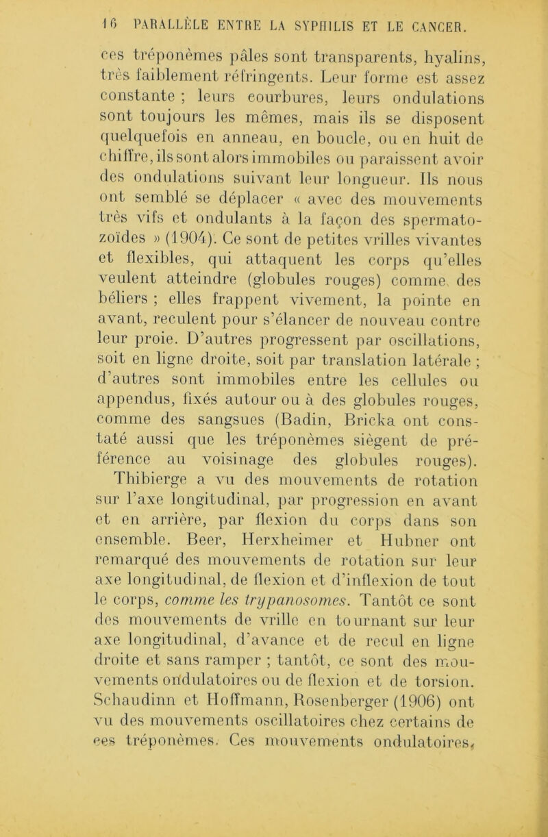 ces tréponèmes pâles sont transparents, hyalins, très faiblement réfringents. Leur forme est assez constante ; leurs eourbures, leurs ondulations sont toujours les mêmes, mais ils se disposent quelquefois en anneau, en boucle, ou en huit de chiffre, ils sont alors immobiles ou paraissent avoir des ondulations suivant leur longueur. Ils nous ont semblé se déplacer « avec des mouvements très vils et ondulants à la façon des spermato- zoïdes » (1904). Ce sont de petites vrilles vivantes et flexibles, qui attaquent les corps qu’elles veulent atteindre (globules rouges) comme des béliers ; elles frappent vivement, la pointe en avant, reculent pour s’élancer de nouveau contre leur proie. D’autres progressent par oscillations, soit en ligne droite, soit par translation latérale ; d’autres sont immobiles entre les cellules ou appendus, fixés autour ou à des globules rouges, comme des sangsues (Badin, Bricka ont cons- taté aussi que les tréponèmes siègent de pré- férence au voisinage des globules rouges). Thibierge a vu des mouvements de rotation sur l’axe longitudinal, par progression en avant et en arrière, par flexion du corps dans son ensemble. Beer, Herxheimer et Hubner ont remarqué des mouvements de rotation sur leur axe longitudinal, de flexion et d’inflexion de tout le corps, comme les trypanosomes. Tantôt ce sont des mouvements de vrille en tournant sur leur axe longitudinal, d’avance et de recul en ligne droite et sans ramper ; tantôt, ce sont des mou- vements ondulatoires ou de flexion et de torsion. Schaudinn et Hoffmann, Rosenberger (1906) ont vu des mouvements oscillatoires chez certains de ces tréponèmes. Ces mouvements ondulatoires,