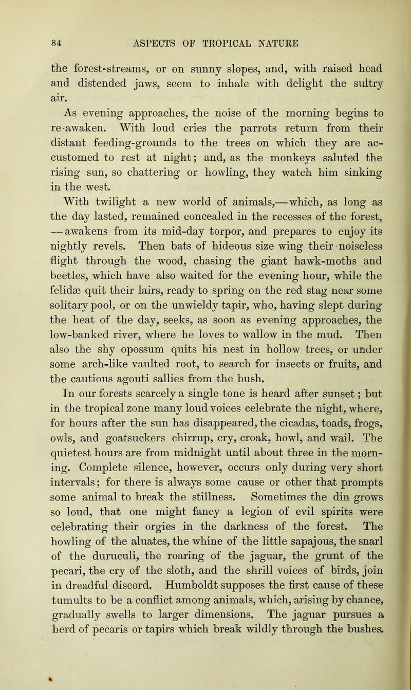 the forest-streams, or on sunny slopes, and, with raised head and distended jaws, seem to inhale with delight the sultry air. As evening approaches, the noise of the morning begins to re-awaken. With loud cries the parrots return from their distant feeding-grounds to the trees on which they are ac- customed to rest at night; and, as the monkeys saluted the rising sun, so chattering or howling, they watch him sinking in the west. With twilight a new world of animals,—which, as long as the day lasted, remained concealed in the recesses of the forest, — awakens from its mid-day torpor, and prepares to enjoy its nightly revels. Then bats of hideous size wing their noiseless flight through the wood, chasing the giant hawk-moths and beetles, which have also waited for the evening hour, while the felidse quit their lairs, ready to spring on the red stag near some solitary pool, or on the unwieldy tapir, who, having slept during the heat of the day, seeks, as soon as evening approaches, the low-banked river, where he loves to wallow in the mud. Then also the shy opossum quits his nest in hollow trees, or under- some arch-like vaulted root, to search for insects or fruits, and the cautious agouti sallies from the bush. In our forests scarcely a single tone is heard after sunset; hut in the tropical zone many loud voices celebrate the night, where, for hours after the sun has disappeared, the cicadas, toads, frogs, owls, and goatsuckers chirrup, cry, croak, howl, and wail. The quietest hours are from midnight until about three in the morn- ing. Complete silence, however, occurs only during very short intervals; for there is always some cause or other that prompts some animal to break the stillness. Sometimes the din grows so loud, that one might fancy a legion of evil spirits were celebrating their orgies in the darkness of the forest. The howling of the aluates, the whine of the little sapajous, the snarl of the duruculi, the roaring of the jaguar, the grunt of the pecari, the cry of the sloth, and the shrill voices of birds, join in dreadful discord. Humboldt supposes the first cause of these tumults to be a conflict among animals, which, arising by chance, gradually swells to larger dimensions. The jaguar pursues a herd of pecaris or tapirs which break wildly through the bushes.