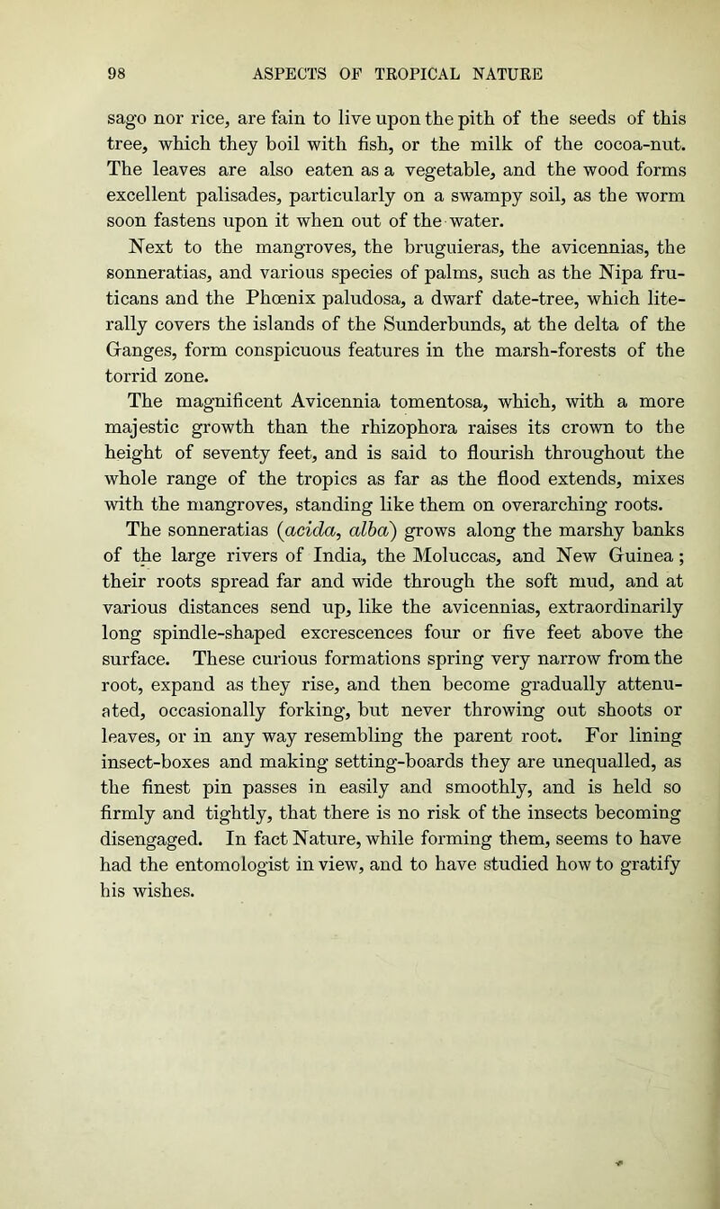 sago nor rice, are fain to live upon the pith of the seeds of this tree, which they boil with fish, or the milk of the cocoa-nut. The leaves are also eaten as a vegetable, and the wood forms excellent palisades, particularly on a swampy soil, as the worm soon fastens upon it when out of the water. Next to the mangroves, the bruguieras, the avicennias, the sonneratias, and various species of palms, such as the Nipa fru- ticans and the Phoenix paludosa, a dwarf date-tree, which lite- rally covers the islands of the Sunder bunds, at the delta of the Granges, form conspicuous features in the marsh-forests of the torrid zone. The magnificent Avicennia tomentosa, which, with a more majestic growth than the rhizophora raises its crown to the height of seventy feet, and is said to flourish throughout the whole range of the tropics as far as the flood extends, mixes with the mangroves, standing like them on overarching roots. The sonneratias (acida, alba) grows along the marshy banks of the large rivers of India, the Moluccas, and New Guinea; their roots spread far and wide through the soft mud, and at various distances send up, like the avicennias, extraordinarily long spindle-shaped excrescences four or five feet above the surface. These curious formations spring very narrow from the root, expand as they rise, and then become gradually attenu- ated, occasionally forking, but never throwing out shoots or leaves, or in any way resembling the parent root. For lining insect-boxes and making setting-boards they are unequalled, as the finest pin passes in easily and smoothly, and is held so firmly and tightly, that there is no risk of the insects becoming disengaged. In fact Nature, while forming them, seems to have had the entomologist in view, and to have studied how to gratify his wishes.