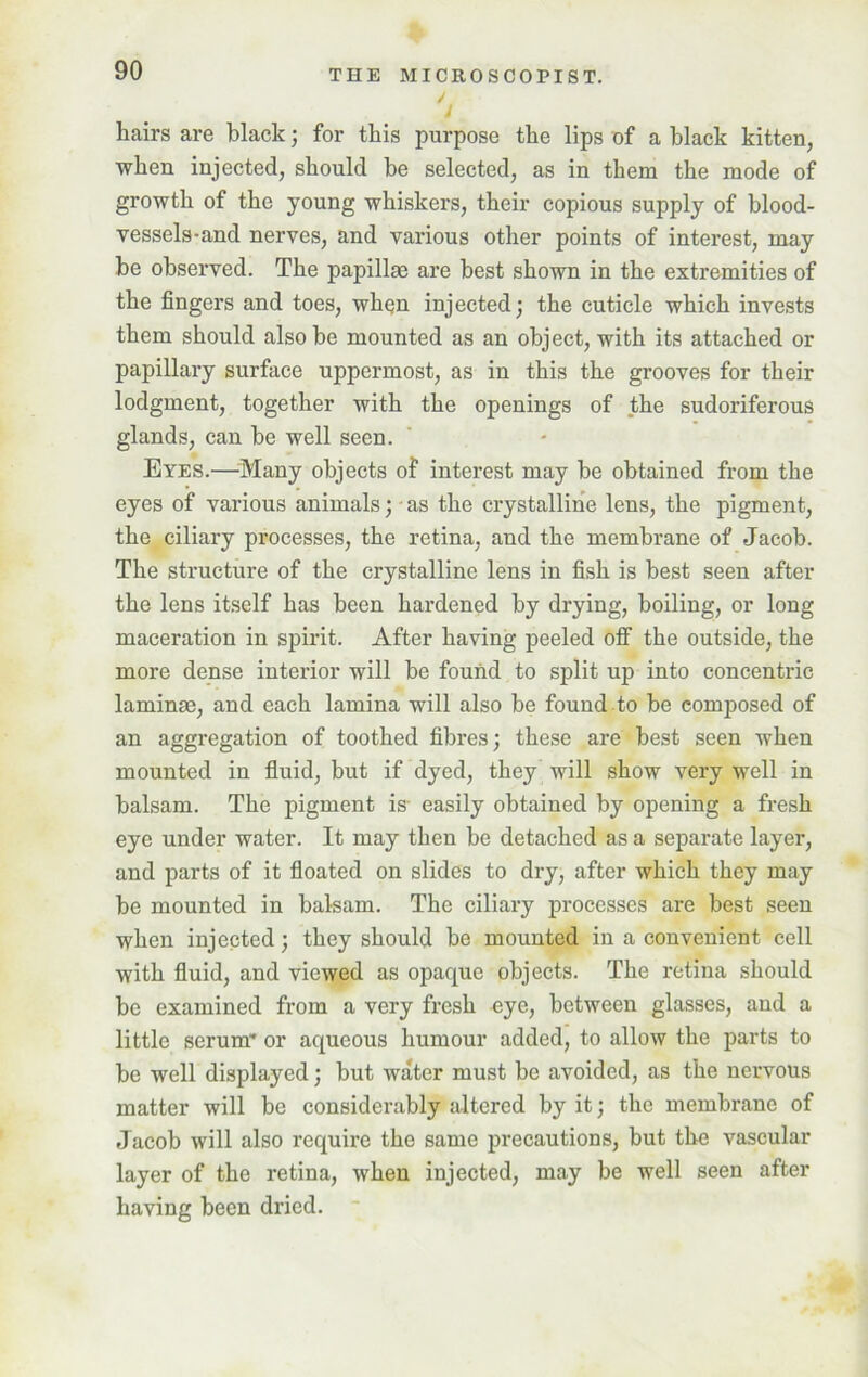 hairs are black; for this purpose the lips of a black kitten, ■when injected, should be selected, as in them the mode of growth of the young whiskers, their copious supply of blood- vessels-and nerves, and various other points of interest, may he observed. The papillae are best shown in the extremities of the fingers and toes, wh§n injected; the cuticle which invests them should also be mounted as an object, with its attached or papillary surface uppermost, as in this the grooves for their lodgment, together with the openings of the sudoriferous glands, can be well seen. Eyes.—Many objects of interest may be obtained from the eyes of various animals; as the crystalline lens, the pigment, the ciliary processes, the retina, and the membrane of Jacob. The structure of the crystalline lens in fish is best seen after the lens itself has been hardened by drying, boiling, or long maceration in spirit. After having peeled off the outside, the more dense interior will be found to split up into concentric laminae, and each lamina will also be found to be composed of an aggregation of toothed fibres; these are best seen when mounted in fluid, but if dyed, they will show very well in balsam. The pigment is easily obtained by opening a fresh eye under water. It may then be detached as a separate layer, and parts of it floated on slides to dry, after which they may be mounted in balsam. The ciliary processes are best seen when injected; they should be mounted in a convenient cell with fluid, and viewed as opaque objects. The retina should be examined from a very fresh eye, between glasses, and a little serum* or aqueous humour added, to allow the parts to be well displayed; but water must be avoided, as the nervous matter will be considerably altered by it; the membrane of Jacob will also require the same precautions, but the vascular layer of the retina, when injected, may be well seen after having been dried.