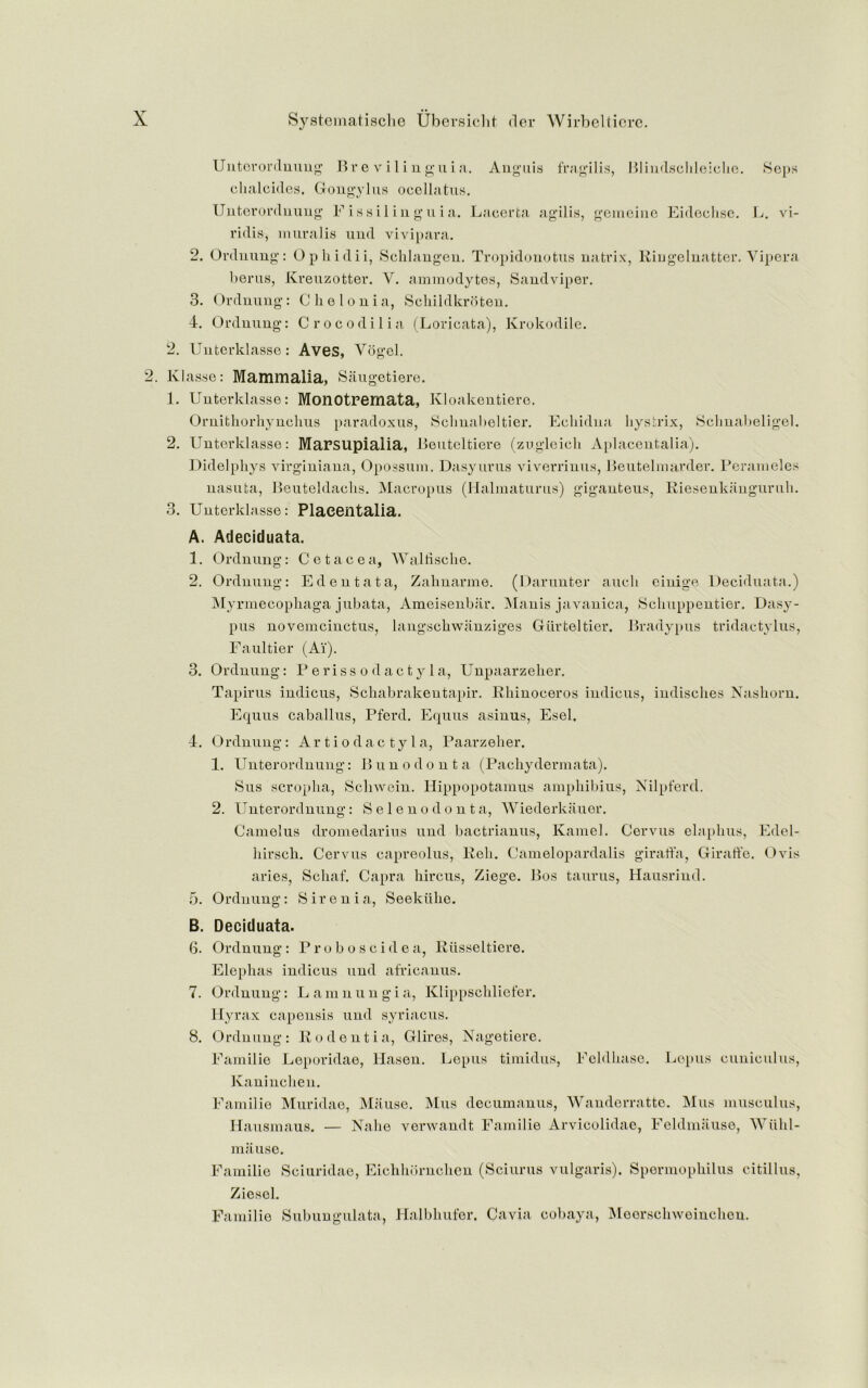 Unterordnung Br e vi lin guia. Anguis fragilis, Blindschleiche. Seps chalcides. Gongylus ocellatus. Uuterordnuug F issil in guia. Lacerfca agilis, geineine Eidechsc. L. vi- ridis, muralis und vivipara. 2. Ordnung: Ophidii, Schlangen. Tropidonotus natrix, Riugelnatter. Yipcra berus, Kveuzotter. V. ammodytes, Sandviper. 3. Ordnung: Che Ionia, Schildkroten. 4. Ordnung: Crocodilia (Loricata), Krokodile. 2. Untcrklasse : Aves, Vogel. Klas.se: Mammalia, Saugetiere. 1. Unterklasse: MonotPemata, Ivloakentiere. Ornithorhynchus paradoxus, Sclmabeltier. Echidna hystrix, 8chnabeligel. 2. Unterklasse: Marsupialia, Beuteltiere (zugleich Aplacentalia). Didelphys virginiana, Opossum. Dasyurus viverrinus, Beutelmarder. Perameles nasuta, Beuteldachs. Macropus (Halmaturus) giganteus, Riesenkanguruh. 3. Unterklasse: Plaeentalia. A. Adeciduata. 1. Ordnung: Cetacea, Walfische. 2. Ordnung: Edentata, Zahnarme. (Darunter auch einige Deciduata.) My rmecophaga jubata, Ameisenbar. Manis javanica, Schuppentier. Dasy- pus novemcinctus, langschwanziges Giir tel tier. Bradypus tridactylus, Faultier (Ai). 3. Ordnung: Perisso dactyl a, U npaarzeher. Tapirus indicus, Schabrakeutapir. Rhinoceros indicus, indisches Nashorn. Equus caballus, Pferd. Equus asinus, Esel. 4. Ordnung: Artiodactyla, Paarzeher. 1. Unterordnung: Bunodonta (Pachydermata). Sus scropha, Schwein. Hippopotamus amphibius, Nilpferd. 2. Unterordnung: Selenodonta, Wiederkauor. Camelus dromedarius und bactrianus, Kamel. Cervus elaphus, Edel- hirsch. Cervus capreolus, Reh. Camelopardalis giratfa, Giraffe. Ovis aries, Schaf. Capra hircus, Ziege. Bos taurus, Hausrind. 5. Ordnung: S i r e n i a, Seekiihe. B. Deciduata. 6. Ordnung: Proboscidea, Riisseltiere. Elephas indicus und africanus. 7. Ordnung: Lamnungia, Klippschliefer. Hyrax capensis und syriacus. 8. Ordnung: Rodentia, Glires, Nagetiere. Familie Leporidae, Hasen. Lepus timidus, Feldhase. Lepus cuniculus, Kaninchen. Familie Muridae, Miiuse. Mus decumanus, Wanderratte. Mus musculus, Hausmaus. — Nalie verwandt Familie Arvicolidae, Feldmause, Wiihl- mause. Familie Sciuridae, Eichhornchen (Sciurus vulgaris). Spermophilus citillus, Ziesol. Familie Subungulata, Halbhufer. Cavia cobaya, Meerschweinchen.