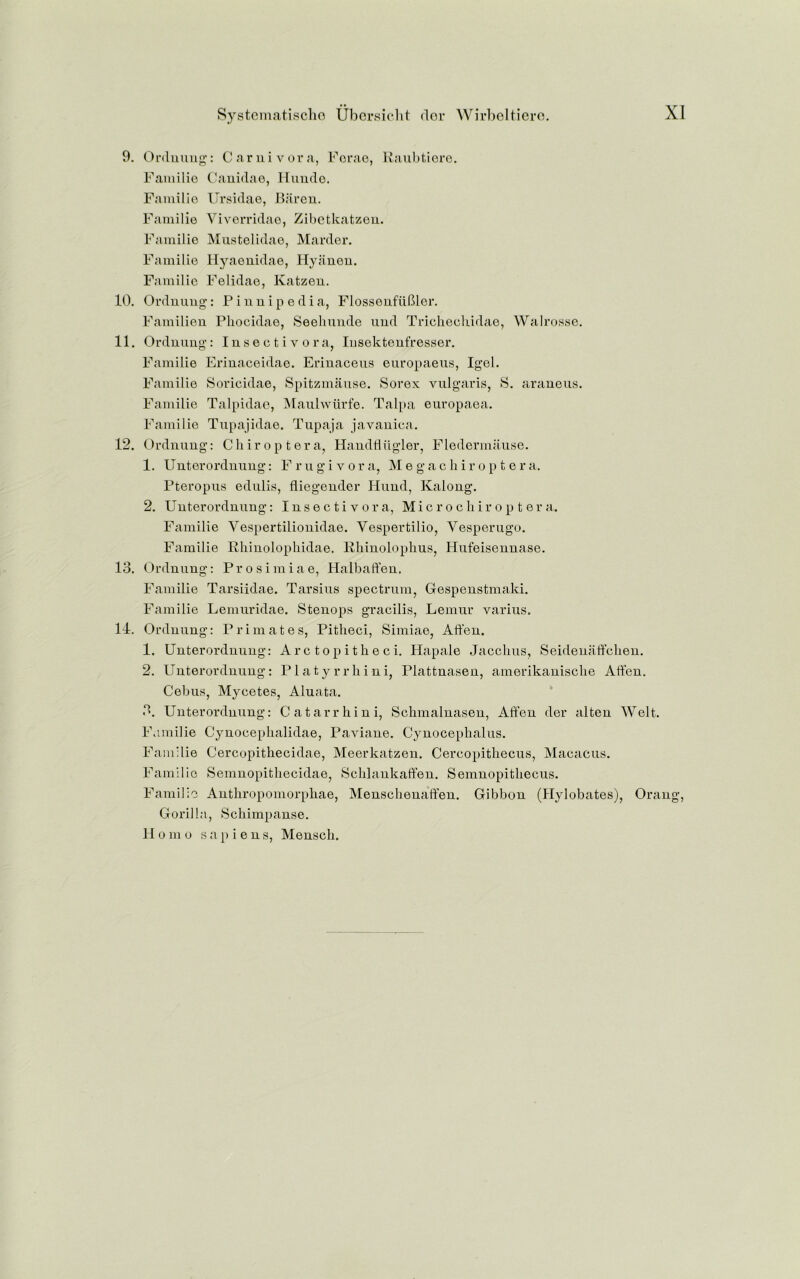 9. Ordnung: Carnivora, Ferae, Raubtiere. Faniilie Canidae, Hunde. Familie Ursidae, Baren. Familie Yiverridae, Zibetkatzen. Familie Mustelidae, Harder. Familie Hyaenidae, Hyanen. Familie Felidae, Katzen. 10. Ordnung: Pinnipedia, Flosseufiiffler. Familien Phocidae, Seehunde und Trichecbidae, Walrosse. 11. Ordnung: Insectivora, Insektenfresser. Familie Erinaceidae. Erinaceus europaeus, Igel. Familie Soricidae, Spitzmause. Sorex vulgaris, S. araueus. Familie Talpidae, Maulwiirfe. Talpa europaea. Familie Tupajidae. Tupaja javauica. 12. Ordnung: Chiroptera, Handfliigler, Fledermause. 1. Unterorduung: Frugivora, Megachir op t era. Pteropus edulis, fliegender Huud, Kaloug. 2. Uuterorduuug: Insectivora, M i c r o c h i r o p t e r a. Familie Vespertiliouidae. Vespertilio, Yesperugo. Familie Rhinolophidae. Rhinolophus, Hufeisennase. 13. Ordnung: Prosimiae, Halbaffeu, Familie Tarsiidae. Tarsius spectrum, Gespeustmaki. Familie Lemuridae. Stenops gracilis, Lemur varius. 14. Ordnung: Primates, Pitlieci, Simiae, Affeu. 1. Uuterorduuug: Arc topithe ci. Hapale Jacchus, Seidenaffclien. 2. Uuterorduuug: Platyrrhini, Plattuasen, amerikauisclie Ati’en. Cebus, Mycetes, Aluata. 3. Uuterorduuug: Catarrhini, Schmalnaseu, Affeu der alten Welt. Familie Cyuoceplialidae, Paviaue. Cyuocephalus. Familie Cercopithecidae, Meerkatzen. Cercopithecus, Macacus. Familie Semnopithecidae, Scblaukaffen. Semuopitliecus. Familie Authropomorphae, Mensclienaffen. Gibbon (Hylobates), Oraug, Gorilla, Schimpanse. Homo s a p i e u s, Mensch.