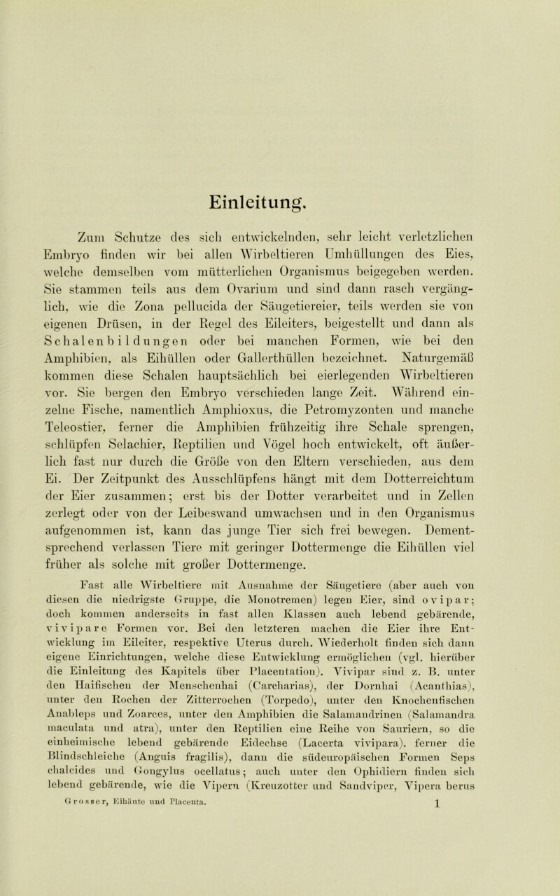 Einleitung. Zum Schutze des sicli entwickelnden, selir leicht verletzlichen Embryo finden wir bei alien Wirbeltieren Umhullungen des Eies, welche demselben vom mutterlichen Organismus beigegeben werden. Sie stammen teils aus dem Ovarium und sind dann rascli vergang- licli, wie die Zona pellucida der Saugetiereier, teils werden sie von eigenen Driisen, in der Regel des Eileiters, beigestellt und dann als Schalenbildungen oder bei manchen Formen, wie bei den Amphibien, als Eihlillen oder Gallerthullen bezeichnet. Nat urge maC kommen diese Schalen hauptsachlich bei eierlegenden Wirbeltieren vor. Sie bergen den Embryo verscliieden lange Zeit. Wahrend ein- zelne Fische, namentlich Amphioxus, die Petromyzonten und manche Teleostier, ferner die Amphibien friihzeitig ihre Schale sprengen, sehlupfen Selachier, Reptilien und Vogel hoch entwickelt, oft auber- licli fast nur durch die GroBe von den Eltern verscliieden, aus dem Ei. Der Zeitpunkt des Ausschlupfens hangt mit dem Dotterreichtum der Eier zusammen; erst bis der Dotter verarbeitet und in Zellen zerlegt oder von der Leibeswand umwachsen und in den Organismus aufgenommen ist, kann das junge Tier sich frei bewegen. Dement- sprechend verlassen Tiere mit geringer Dottermenge die Eihlillen viel friiher als solche mit groBer Dottermenge. Fast alle Wirbeltiere mit Ausnahme cler Saugetiere (aber aucli von diesen die niedrigste Gruppe, die Monotremen) legen Eier, sind ovipar; docli kommen anderseits in fast alien Klassen aucli lebend gebarende, vivipare Formen vor. Bei den letzteren maclien die Eier ilire Ent- wicklung im Eileiter, respektive Uterus durch. Wiederholt linden sicli dann eigene Einrichtungen, welche diese Entwicklung ermoglichen (vgl. Member die Einleitung des Kapitels liber Placentation). Vivipar sind z. B. unter den Haifischen der Menschenhai (Carcharias), der Dornhai (Acanthias), unter den Bochen der Zitterrochen (Torpedo), unter den Knochenfischen Anableps und Zoarces, unter den Amphibien die Salamandrinen (Salamandra maculata und atra), unter den Reptilien eine Reilie von Sauriern, so die einheimische lebend gebarende Eidechse (Lacerta vivipara). ferner die Blindschleiche (Anguis fragilis), dann die siideuropaischen Formen Seps chalcides und Gongylus ocellatus; aucli unter den Ophidiern linden sieli lebend gebarende, wie die Vipern (Ivreuzotter und Sandviper, Vipera berus