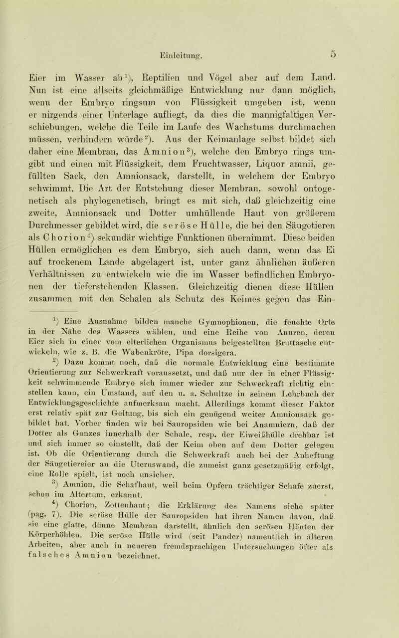 Eier im Wasser ab1), Reptilien und Vogel aber auf dem Land. Nun 1st eine allseits gleichmaBige Entwicklung nur dann moglich, wenn der Embryo ringsum von Flussigkeit umgeben 1st., wenn er nirgends einer Unterlage aufliegt, da dies die mannigfaltigen Ver- schiebungen, welche die Teile im Laufe des Wachstums durchmachen mtissen, verhindern wiirde2). Aus der Keimanlage selbst bildet sick daher eine Membran, das Amnion3), welche den Embryo rings um- gibt und einen mit Fliissigkeit, dem Fruchtwasser, Liquor amnii, ge- fiillten Sack, den Amnionsack, darstellt, in welchem der Embryo schwimmt. Die Art der Entstehung dieser Membran, sowohl ontoge- netisch als phylogenetisch, bringt es mit sich, dab gleichzeitig eine zweite, Amnionsack und Dotter umhullende Haut von groBerem Durchmesser gebildet wird, die serose Hiille, die bei den Saugetieren als Chorion4) sekundar wichtige Funktionen ubernimmt. Diese beiden Hiillen ermoglichen es dem Embryo, sich auch dann, wenn das Ei auf trockenem Lande abgelagert ist, unter ganz ahnlichen auBeren Verhaltnissen zu entwickeln wie die im Wasser befindlichen Embryo- nen der tieferstehenden Klassen. Gleichzeitig dienen diese Hiillen zusammen mit den Schalen als Schutz des Keimes gegen das Ein- 1) Eine Ausnakine bilden manche Gymnophionen, die feuclite Orte in der Niihe des AVassers wahlen, und eine Reihe von Anuren, deren Eier sich in einer vom elterliclien Organismus beigestellten Bruttasclie ent- wickeln, wie z. B. die Wabeukrote, Pipa clorsigera. 2) Dazu koimnt noch, dab die normale Entwicklung eine bestimmte < irientierung zur Schwerkraft voraussetzt, und dab nur der in einer Fliissig- keit scbwimmende Embryo sich iuimer wieder zur Schwerkraft riclitig ein- stellen kann, ein Umstand, auf den u. a. Schultze in seinein Lehrbuch der Entwicklungsgeschichte aufinerksam macht. Allerdings kommt dieser Faktor erst relativ spat zur Geltung, bis sich ein geniigend weiter Amnionsack ge- bildet hat. A orher tinden wir bei Sauropsiden wie bei Anamniern, dab der Dotter als Ganzes innerhalb der Schale, resp. der Eiweibhulle drehbar ist und sich immer so einstellt, dab der Keim oben auf dem Dotter gelegen ist. Ob die Orientierung durch die Schwerkraft auch bei der Anheftung der Saugetiereier an die Uteruswand, die zumeist ganz gesetzmabig erfolgt, eine Rolle spielt, ist noch unsicher. ’) Amnion, die Schafhaut, weil bcim Opfern trachtiger Scliafe zuerst, schon im Altertum, erkannt. 4) Chorion, Zottenhaut; die Erklarung des Namens sielie spater ^pag. 7). Die serose Iliille der Sauropsiden hat ihren Namen davon, dab sie eine glatte, diinne Membran darstellt, ahnlich den seroseu Hauten der Korperhohlen. Die serose Hiille wird (seit Pander) namentlich in alteren Arbeiten, aber auch in neueren fremdspracliigen Untersuchungen ofter als false lies Amnion bezeichnet.