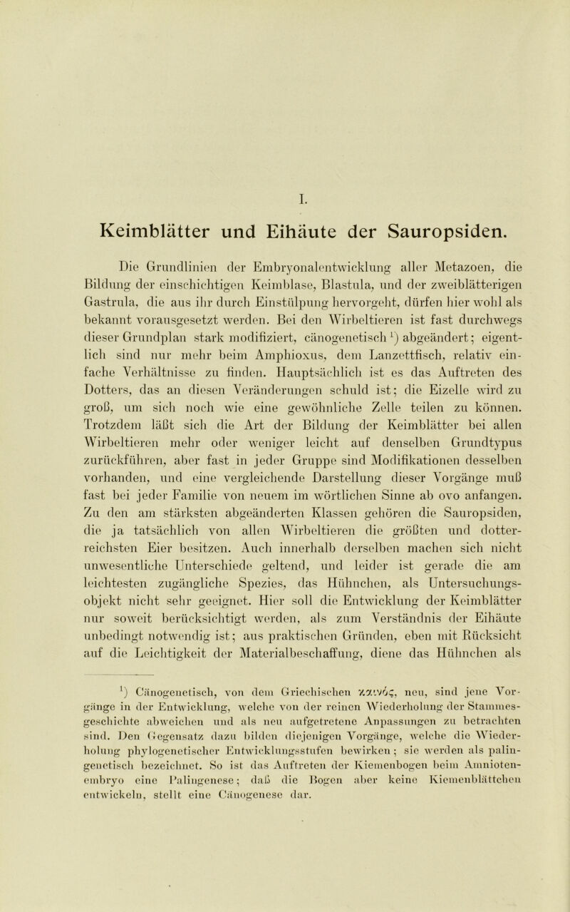 I. Keimblatter und Eihaute der Sauropsiden. Die Grundlinicn der Embryonalentwicklung aller Metazoen, die Bildung der einschichtigen Keimblase, Blastula, und der zweiblatterigen Gastrula, die aus ihr durch Einstiilpung hervorgeht, diirfen bier wohl als bekannt vorausgesetzt werden. Bei den Wirbeltieren ist fast durchwegs dieser Grundplan stark modifiziert, canogenetisch L) abgeandert; eigent- licli sind nur mehr beim Amphioxus, dem Lanzettfisch, relativ ein- fache Yerhaltnisse zu finden. Hauptsachlich ist es das Auftreten des Dotters, das an diesen Yeranderungen schuld ist; die Eizelie wird zu groB, um sich noch wie eine gewohnliche Zelle teilen zu konnen. Trotzdem laBt sich die Art der Bildung der Keimblatter bei alien Wirbeltieren mehr oder weniger leicht auf denselben Grundtypus zuruckfuhren, aber fast in jeder Gruppe sind Modifikationen desselben vorhanden, und eine vergleichende Darstellung dieser Yorgange muB fast bei jeder Familie von neuem im wortlichen Sinne ab ovo anfangen. Zu den am starksten abgeanderten Klassen gehoren die Sauropsiden, die ja tatsachlich von alien Wirbeltieren die groBten und dotter- reichsten Eier besitzen. Auch innerhalb derselben machen sich nicht unwesentliche Unterschiede geltend, und leider ist gerade die am leichtesten zugangliche Spezies, das Huhnchen, als Untersuchungs- objekt nicht selir geeignet. Hier soil die Entwicklung der Keimblatter nur soweit beriicksichtigt werden, als zum Yerstandnis der Eihaute unbedingt notwendig ist; aus praktischen Grtinden, eben mit Riicksicht auf die Leichtigkeit der Materialbeschaffung, diene das Hulmchen als l) Canogenetisch, von clem Griechischen %7.iv6g, non, sind jene Yor- gange in der Entwicklung, welche von der reincn Wiederholung der Stammes- geschichte abweichen und als neu aufgetretene Anpassungen zu betracliten sind. Den Oegensatz dazu bilclen dicjenigen Yorgange, welche die Wieder- holung phylogenetischer Entwicklungsstufen bewirken ; sic werden als palin- genetisch hezeichnct. So ist das Auftreten der Kiemenbogen beim Amnioten- cinbryo eine Palingenese; dafi die Bogen aber keine Kiemenblattchen entwickeln, stellt eine Canogenese dar.