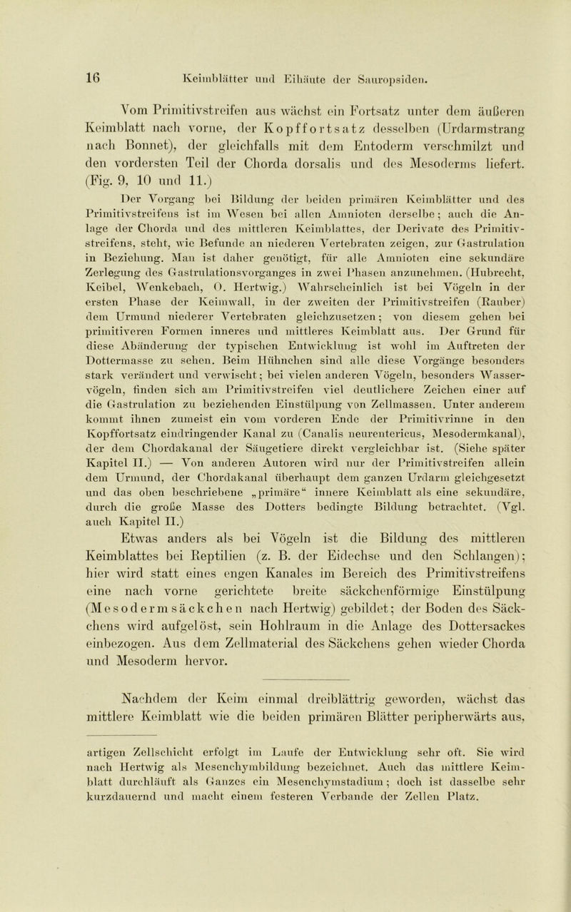 Yom Primitivstreifen aus wachst ein Fortsatz unter dem auCeren Keimblatt nach vorne, der Kopffortsatz desselben (Urdarmstrang nach Bonnet), der gleichfalls mit dem Entoderm verschmilzt nnd den vordersten Teil der Chorda dorsalis nnd des Mesoderms liefert. (Fig. 9, 10 nnd 11.) Der Vorgang bei Bildung der bciden primaren Keimblatter und des Primitivstreifens ist im Wesen bei alien Amnioten derselbe; aucb die An- lage der Chorda und des mittleren Keimblattes, der Derivate des Primitiv- streifens, stebt, wie Befunde an niederen Vertebratcn zeigen, zur Gastrulation in Beziehung. Man ist daher genotigt, fur allc Amnioten cine sekundare Zerlegung des Gastrulationsvorganges in zwei Phasen anzunehmen. (Hubrecht, Keibel, Wenkebacli, 0. Hertwig.) Wabrscheinlich ist bei Vogeln in der ersten Phase der Keimwall, in der zweiten der Primitivstreifen (Rauber) dem Urmund niederer Yertcbraten gleichzusetzen; von diesem gehen bei primitiveren Formen inneres und mittleres Keimblatt aus. Der Grund fur diese Abanderung der typischen Entwieklung ist wolil im Auftreten der Dottermasse zu sehen. Beim Huhnchen sind alle diese Vorgange besonders stark verandert und verwischt; bei vielen anderen Vogeln, besonders Wasser- vogeln, finden sich am Primitivstreifen viel deutlichere Zeichen einer auf die Gastrulation zu beziehenden Einstulpung von Zellmassen. Unter anderem kommt ihnen zumeist ein vom vorderen Endc der Primitivrinne in den Kopffortsatz eindringender Kanal zu (Canalis neurentericus, Mesodermkanal), der dem Chordakanal der Saugetiere direkt vergleichbar ist. (Siehe spater Kapitel II.) — Yon anderen Autoren wird nur der Primitivstreifen allein dem Urmund, der Chordakanal tiberhaupt dem ganzen Urdarm gleichgesetzt und das oben beschriebene „primare“ innere Keimblatt als eine sekundare, durch die grohe Masse des Dotters bedingte Bildung betrachtet. (Ygl. auch Kapitel II.) Etwas anders als bei Yogeln ist die Bildung des mittleren Keimblattes bei Reptilien (z. B. der Eidechse und den Schlangen); bier wird statt eines engen Kanales im Bereich des Primitivstreifens eine nach vorne gerichtete breite sackchenformige Einstulpung (Mesodermsackchen nach Hertwig) gebildet; der Boden des Sack- chens wird aufgelost, sein Hohlraum in die Anlage des Dottersackes einbezogen. Aus dem Zellmaterial des Sackchens gehen wieder Chorda und Mesoderm hervor. Naehdem der Keim einmal dreiblattrig geworden, wachst das mittlere Keimblatt wie die beiden primaren Blatter peripherwarts aus. artigen Zellscliicht erfolgt im Laufe dor Entwieklung sehr oft. Sie wird nach Hertwig als Mesenchymbildung bezeichnet. Auch das mittlere Keim- blatt durchlauft als Gauzes ein Mesenchymstadium; doch ist dasselbe sehr kurzdauernd und macht einem festeren Verbande der Zellen Platz.
