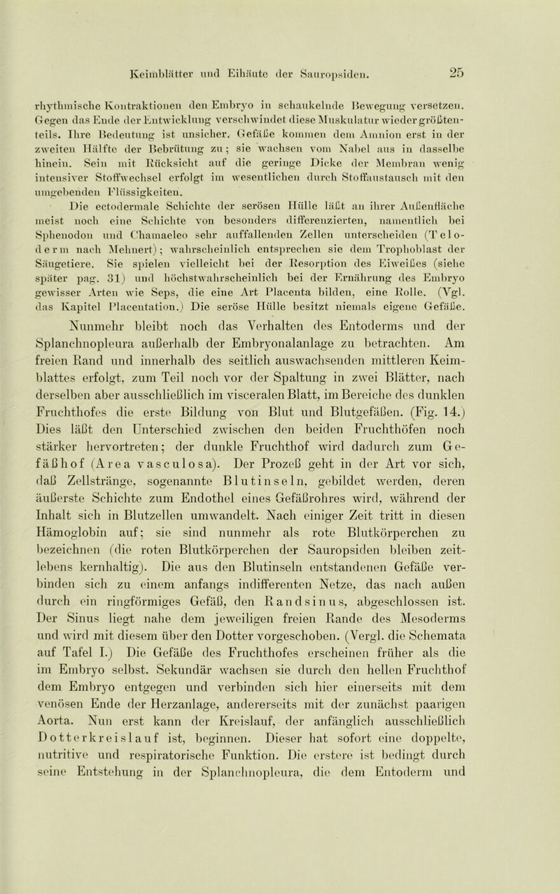 rliytlimische Kontraktionen den Embryo in schaukelnde Bewegung versetzen. Gegen das Eude der Entwieklnng verschwindet diese Mnsknlatur wicdcr groBten- teils. Hire Bedentnng ist nnsicher. GefaBe kommen dein Amnion erst in der zweiten Half to der Bebriitnng zu; sie waclisen vom Nabel ans in dasselbe liinein. Sein mit Eiicksicht anf die geringe Dicke der Membran wenig intensiver Stoffwechsel erfolgt im wesentlielien durck Stoffaustauscli mit den nmgebenden Fliissigkeiten. Die ectodermale Schichte der serosen Hiille laBt an ihrer Aufienflaclie meist noch eine Seliichte von besonders differenzierten, namentlicli bei Splienodon nnd Chamaeleo selir anffallenden Zellen nnterscbeiden (Telo- derm nacb Melmert); wahrscheinlich entspreclien sie dem Trophoblast der Saugetiere. Sie spielen vielleicht bei der Resorption des Eiweifies (siehe spiiter pag. 31) nnd liochstwalirscheinlich bei der Ernahrung des Embryo gewisser Arten wie Seps, die eine Art Placenta bilden, eine Rolle. (Vgl. das Kapitel Placentation.) Die serose Hiille besitzt niemals eigene GefaBe. Nunmehr bleibt noch das Verhalten des Entoderms und der Splanchnopleura auBerhalb der Embryonalanlage zu betrachten. Am freien Rand und innerhalb des seitlich auswachsenden mittleren Keim- blattes erfolgt, zum Teil nocli vor der Spaltung in zwei Blatter, nach derselben aber ausschlieBlich im visceralen Blatt, imBereiche des dunklen Fruchthofes die erste Bildung von Blut und BlutgefaBen. (Fig. 14.) Dies laBt den Unterschied zwischen den beiden Fruchthofen noch starker hervortreten; der dunkle Fruchthof wird dadurch zum Ge- faBhof (Area vasculosa). Der ProzeB geht in der Art vor sich, daB Zellstrange, sogenannte Blutinseln, gebildet werden, cleren auBerste Schichte zum Endothel eines GefaBrohres wird, wahrend der Inhalt sich in Blutzellen umwandelt. Nach einiger Zeit tritt in diesen Hamoglobin auf; sie sind nunmehr als rote Blutkorperchen zu bezeichnen (die roten Blutkorperchen der Sauropsiden bleiben zeit- lebens kernhaltig). Die aus den Blutinseln entstandenen GefaBe ver- binden sich zu einem anfangs indifferenten Netze, das nach auBen durch ein ringformiges GefaB, den Rand sin us, abgeschlossen ist. Der Sinus liegt nahe dem jeweiligen freien Rande des Mesoderms und wird mit diesem uber den Dotter vorgeschoben. (Vergl. die Schemata auf Tafel I.) Die GefaBe des Fruchthofes erscheinen fruher als die im Embryo selbst. Sekundar wachsen sie durch den hellen Fruchthof dem Embryo entgegen und verbinden sich hier einerseits mit dem venosen Ende der Herzanlage, andererseits mit der zunachst paarigen Aorta. Nun erst kann der Kreislauf, der anfanglich ausschlieBlich Dotterkreislauf ist, beginnen. Dieser hat sofort eine doppelte, nutritive und respiratorisclie Funktion. Die erstere ist bedingt durch seine Entstehung in der Splanchnopleura, die dem Entoderm und