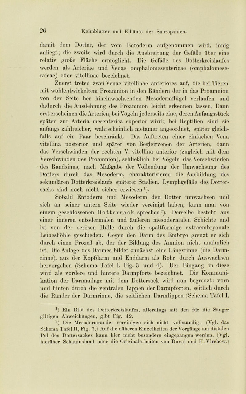damit dem Hotter, der vom Entoderm aufgenommen wird, innig anliegt; die zweite wird durch die Ausbreitung der GefaCe fiber eine relativ groBe Flache ermoglicht. Die GefaBe des Dotterkreislaufes werden als Arteriae und Venae omphalomesentericae (omphalomese- raicae) oder vitellinae bezeichnet. Zuerst treten zwei Venae vitellinae anteriores auf, die bei Tieren mit wohlentwickeltem Proamnion in den Randern der in das Proamnion von der Seite her hineinwachsenden Mesodermflugel verlaufen und dadurch die Ausdehnung des Proamnion leicht erkennen lassen. Dann erst erscheinen die Arterien, bei Vogeln jederseits eine, deren Anfangsstfiek spater zur Arteria mesenterica superior wird; bei Reptilien sind sie anfangs zahlreicher, wahrscheinlich metamer angeordnet, spater gleich- falls auf ein Paar beschrankt. Das Auftreten einer einfachen Vena vitellina posterior und spater von Begleitvenen der Arterien, dann das Verschwinden der rechten V. vitellina anterior (zugleich mit dem Verschwinden des Proamnion), schlieBlich bei Vogeln das Verschwinden ' des Randsinus, nach MaBgabe der Vollendung der Umwachsung des Dotters durch das Mesoderm, charakterisieren die Ausbildung des sekundaren Dotterkreislaufs spaterer Stadien. LymphgefaBe des Dotter- sacks sind noch nicht sicher erwiesen i). Sobald Entoderm und Mesoderm den Dotter umwachsen und sich an seiner untern Seite wieder vereinigt haben, kann man von einem geschlossenen Dottersack sprechen-). Derselbe besteht aus einer inneren entodermalen und auBeren mesodermalen Scliichte und ist von der serosen Hfille durch die spaltformige extraembryonale Leibeshohle geschieden. Gegen den Damn des Embryo grenzt er sich durch einen ProzeB ab, der der Bildung des Amnion nicht unahnlich ist. Die Anlage des Darmes bildet zunachst eine Langsrinne (die Darm- rinne), aus der Kopfdarm und Enddarm als Rohr durch Auswachsen hervorgehen (Schema Tafel I, Fig. 3 und 4). Der Eingang in diese wird als vordere und hintere Darmpforte bezeichnet. Die Kommuni- kation der Darmanlage mit dem Dottersack wird nun begrenzt: vorn und hinten durch die ventralen Lippen der Darmpforten, seitlich durch die Rander der Darmrinne, die seitlichen Darmlippen (Schema Tafel I, x) Ein Bild des Dotterkreislaufes, allerdings mit den fur die Sanger giltigen Abweichungen, gibt Fig. 42. 2) Die Mesodermrander vereinigen sicli nicht vollstandig. (Vgl. das Schema Tafel IT, Fig. 7.) Auf die naheren Einzelheiten der Vorgange am distalen Pol des Dottersackes kann liier nicht besonders eingegangen werden. (Vgl. hieriiber Schauinsland odor die Originalarbeiten von Duval und H. Virchow.)