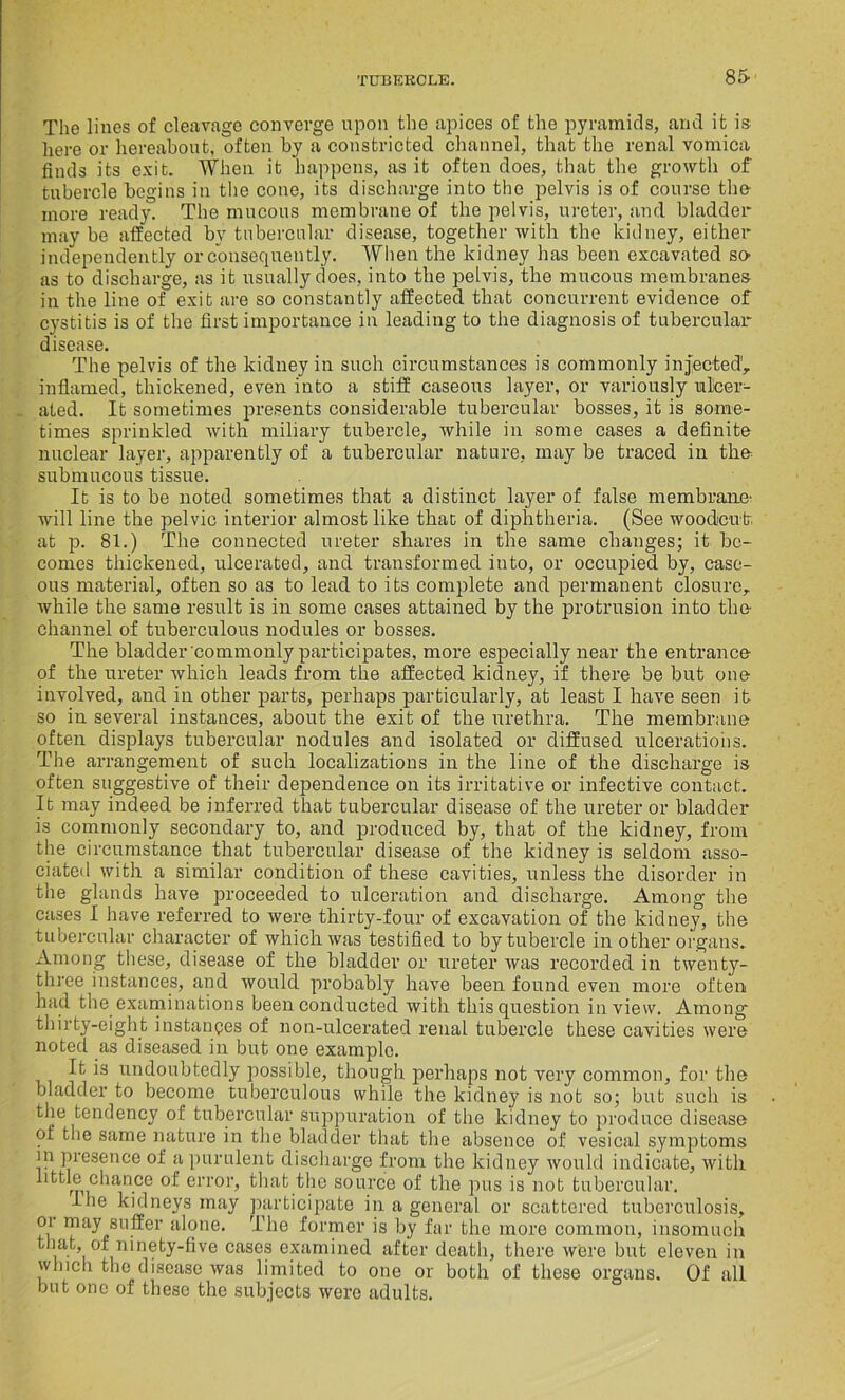 The lines of cleavage converge upon the apices of the pyramids, and it is here or hereabout, often by a constricted channel, that the renal vomica finds its exit. When it happens, as it often does, that the growth of tubercle begins in the cone, its discharge into the pelvis is of course the more ready. The mucous membrane of the pelvis, ureter, and bladder may be affected bv tubercular disease, together with the kidney, either independently or consequently. When the kidney has been excavated so- as to discharge, as it usually does, into the pelvis, the mucous membranes in the line of exit are so constantly affected that concurrent evidence of cystitis is of the first importance in leading to the diagnosis of tubercular disease. The pelvis of the kidney in such circumstances is commonly injected',, inflamed, thickened, even into a stiff caseous layer, or variously ulcer- ated. It sometimes presents considerable tubercular bosses, it is some- times sprinkled with miliary tubercle, while in some cases a definite nuclear layer, apparently of a tubercular nature, may be traced in the submucous tissue. It is to be noted sometimes that a distinct layer of false membrane- will line the pelvic interior almost like that of diphtheria. (See woodcut, at p. 81.) The connected ureter shares in the same changes; it be- comes thickened, ulcerated, and transformed into, or occupied by, case- ous material, often so as to lead to its complete and permanent closure, while the same result is in some cases attained by the protrusion into the- channel of tuberculous nodules or bosses. The bladder commonly participates, more especially near the entrance of the ureter which leads from the affected kidney, if there be but one involved, and in other parts, perhaps particularly, at least I have seen it so in several instances, about the exit of the urethra. The membrane often displays tubercular nodules and isolated or diffused ulcerations. The arrangement of such localizations in the line of the discharge is often suggestive of their dependence on its irritative or infective contact. It may indeed be inferred that tubercular disease of the ureter or bladder is commonly secondary to, and produced by, that of the kidney, from the circumstance that tubercular disease of the kidney is seldom asso- ciated with a similar condition of these cavities, unless the disorder in the glands have proceeded to ulceration and discharge. Among the cases I have referred to were thirty-four of excavation of the kidney, the tubercular character of which was testified to by tubercle in other organs. Among these, disease of the bladder or ureter was recorded in twenty- three instances, and would probably have been found even more often had the examinations been conducted with this question in view. Among* thirty-eight instances of non-ulcerated renal tubercle these cavities were noted as diseased in but one example. It is undoubtedly possible, though perhaps not very common, for the bladder to become tuberculous while the kidney is not so; but such is the tendency of tubercular suppuration of the kidney to produce disease of the same nature in the bladder that the absence of vesical symptoms in presence of a purulent discharge from the kidney would indicate, with little chance of error, that the source of the pus is not tubercular. Ihe kidneys may participate in a general or scattered tuberculosis, or may suffer alone. The former is by far the more common, insomuch that, of ninety-five cases examined after death, there were but eleven in which the disease was limited to one or both of these organs. Of all but one of these the subjects were adults.