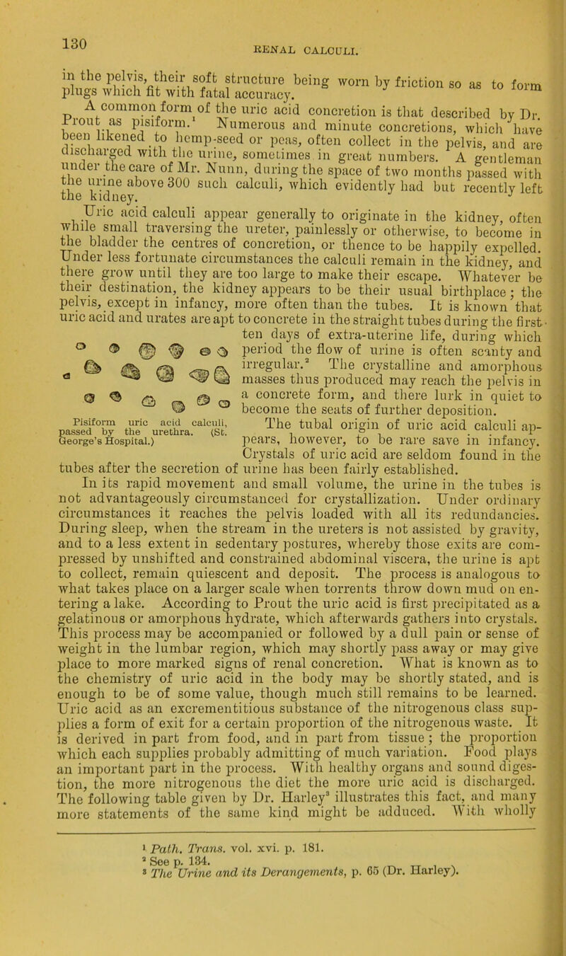 RENAL CALCULI. Uric acid calculi appear generally to originate in the kidney, often while small traversing the ureter, painlessly or otherwise, to become in the bladder the centres of concretion, or thence to be happily expelled. Under less fortunate circumstances the calculi remain in the kidney, and there grow until they are too large to make their escape. Whatever be their destination, the kidney appears to be their usual birthplace; the pelvis, except in infancy, more often than the tubes. It is known that uric acid and urates are apt to concrete in the straight tubes during the first ■ ten days of extra-uterine life, during which 0 ® 0 & <3 period the flow of urine is often scanty and tubes after the secretion of urine has been fairly established. In its rapid movement and small volume, the urine in the tubes is not advantageously circumstanced for crystallization. Under ordinary circumstances it reaches the pelvis loaded with all its redundancies. During sleep, when the stream in the ureters is not assisted by gravity, and to a less extent in sedentary postures, whereby those exits are com- pressed by unshifted and constrained abdominal viscera, the urine is apt to collect, remain quiescent and deposit. The process is analogous to what takes place on a larger scale when torrents throw down mud on en- tering a lake. According to Prout the uric acid is first precipitated as a gelatinous or amorphous hydrate, which afterwards gathers into crystals. This process may be accompanied or followed by a dull pain or sense of weight in the lumbar region, which may shortly pass away or may give place to more marked signs of renal concretion. What is known as to the chemistry of uric acid in the body may be shortly stated, and is enough to be of some value, though much still remains to be learned. Uric acid as an excrementitious substance of the nitrogenous class sup- plies a form of exit for a certain proportion of the nitrogenous waste. It is derived in part from food, and in part from tissue; the proportion which each supplies probably admitting of much variation. Food plays an important part in the process. With healthy organs and sound diges- tion, the more nitrogenous the diet the more uric acid is discharged. The following table given by Dr. Harley3 illustrates this fact, and many more statements of the same kind might be adduced. With wholly Pisiform uric acid calculi, ssed by the urethra. (St. Q <3 <2, irregular.2 The crystalline and amorphous masses thus produced may reach the pelvis in a concrete form, and there lurk in quiet to become the seats of further deposition. v Ubpuo‘ uiv/u • The tubal origin of uric acid calculi ap- passed by the urethra. George’s Hospital.) pears, however, to be rare save in infancy. Crystals of uric acid are seldom found in the 1 Path. Trans, vol. xvi. p. 181. 3 See p. 134. 8 The Urine and its Derangements, p. 65 (Dr. Harley;.