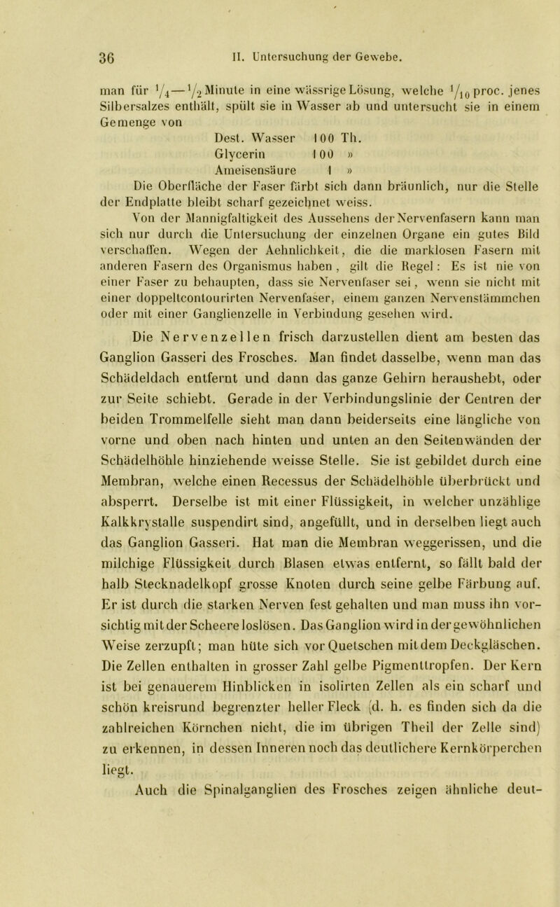 man für */4—y2 Minute in eine wässrige Lösung, welche '/10 proc. jenes Silbersalzes enthält, spült sie in Wasser ab und untersucht sie in einem Gemenge von Dest. Wasser 100 Th. Glycerin 100 » Ameisensäure I » Die Oberfläche der Faser färbt sich dann bräunlich, nur die Stelle der Endplatte bleibt scharf gezeichnet weiss. Von der Mannigfaltigkeit des Aussehens der Nervenfasern kann man sich nur durch die Untersuchung der einzelnen Organe ein gutes Bild verschaffen. Wegen der Aehnlichkeit, die die marklosen Fasern mit anderen Fasern des Organismus haben , gilt die Regel: Es ist nie von einer Faser zu behaupten, dass sie Nervenfaser sei, wenn sie nicht mit einer doppeltcontourirten Nervenfaser, einem ganzen Nervenstämmchen oder mit einer Ganglienzelle in Verbindung gesehen wird. Die Nervenzellen frisch darzustellen dient am besten das Ganglion Gasseri des Frosches. Man findet dasselbe, wenn man das Schädeldach entfernt und dann das ganze Gehirn heraushebt, oder zur Seite schiebt. Gerade in der Verbindungslinie der Centren der beiden Trommelfelle sieht man dann beiderseits eine längliche von vorne und oben nach hinten und unten an den Seitenwänden der Schädelhöhle hinziehende weisse Stelle. Sie ist gebildet durch eine Membran, welche einen Recessus der Schädelhöhle überbrückt und absperrt. Derselbe ist mit einer Flüssigkeit, in welcher unzählige Kalkkrystalle suspendirt sind, angefüllt, und in derselben liegtauch das Ganglion Gasseri. Hat man die Membran weggerissen, und die milchige Flüssigkeit durch Blasen etwas entfernt, so fällt bald der halb Stecknadelkopf grosse Knoten durch seine gelbe Färbung auf. Er ist durch die starken Nerven fest gehalten und man muss ihn vor- sichtig mit der Scheere loslösen. Das Ganglion wird in der gewöhnlichen Weise zerzupft; man hüte sich vor Quetschen mit dem Deckgläschen. Die Zellen enthalten in grosser Zahl gelbe Pigmenttropfen. Der Kern ist bei genauerem Hinblicken in isolirten Zellen als ein scharf und schön kreisrund begrenzter heller Fleck (d. h. es finden sich da die zahlreichen Körnchen nicht, die im übrigen Theil der Zelle sind) zu erkennen, in dessen Inneren noch das deutlichere Kernkörperchen liegt. Auch die Spinalganglien des Frosches zeigen ähnliche deut-