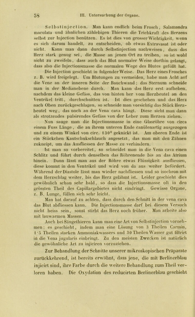Selbst inject ion. Man kann endlich beim Frosch , Salamandra maculata und ähnlichen zählebigen Thieren die Triebkraft des Herzens selbst zur Injection benützen. Es ist dies von grosser Wichtigkeit, wenn es sich darum handelt, zu entscheiden, ob etwas Extravasat ist oder nicht. Kann man dann durch Selbstinjection nachweisen, dass das Herz stark genug sei, die Masse an jenen Ort zu treiben, so ist wohl nicht zu zweifeln, dass auch das Blut normaler Weise dorthin gelangt, dass also die Injectionsmasse die normalen Wege des Blutes gefüllt hat. Die Injection geschieht in folgender Weise. Das Herz eines Frosches z. B. wird freigelegt. Um Blutungen zu vermeiden, habe man Acht auf die Vene an der inneren Seite der ßauchwand ; das Sternum schneide man in der Medianebene durch. Man kann das Herz erst aufheben, nachdem das kleine Gefäss, das von hinten her vom Herzbeutel an den Ventrikel tritt-, durchschnitten ist. Ist dies geschehen und das Herz nach Oben zurückgeschlagen, so schneide man vorsichtig das Stück Herz- beutel weg, das noch an der Vena cava hängt. Diese sieht man dann als strotzendes pulsirendes Gefäss von der Leber zum Herzen ziehen. Nun sauge man die Injectionsmasse in eine Glasröhre von circa einem Fuss Länge , die an ihrem unteren Ende canülenartig ausgezogen und zu einem Winkel von circ. 130° geknickt ist. Am oberen Ende ist ein Stückchen Kautschukschlauch angesetzt, das man mit den Zähnen zukneipt, um das Ausfliessen der Masse zu verhindern. Ist man so vorbereitet, so schneidet man in die Vena cava einen Schlitz und führt durch denselben das Rührenende bis an das Atrium hinein. Dann lässt man aus der Röhre etwas Flüssigkeit ausfliessen, diese kommt in den Ventrikel und wird von da aus weiter befördert. Während der Diastole lässt man wieder nachfliessen und so isochron mit dem Herzschlag weiter, bis das Herz gelähmt ist. Leider geschieht dies gewöhnlich schon sehr bald, so dass die Injectionsmasse oft in den grössten Theil des Capillargebietes nicht eindringt. Gewisse Organe, z. B. Lunge, füllen sich sehr leicht. Man hat darauf zu achten, dass durch den Schnitt in der vena cava das Blut abfliessen kann. Die Injectionsmasse darf bei diesem Versuch nicht heiss sein, sonst stirbt das Herz noch früher. Man arbeite also mit lauwarmen Massen. Auch bei Säugethieren kann man eine Art von Selbstinjection vorneh- men; es geschieht , indem man eine Lösung von 3 Theilen Carmin, I '5 Theilen starken Ammoniakwassers und 30 Theilen Wasser gut tiltrirt iil die Vena jugularis einbringt. Zu den meisten Zwecken ist natürlich die gewöhnliche Art zu injiciren vorzuziehen. Zur Behandlung der Schnitte unserer mikroskopischen Präparate zurückkehrend, ist bereits erwähnt, dass jene, die mit Berlinerblau injicirt sind, ihre Farbe durch die weitere Behandlung zum Theil ver- loren haben. Die Oxydation des reducirten Berlinerblau geschieht