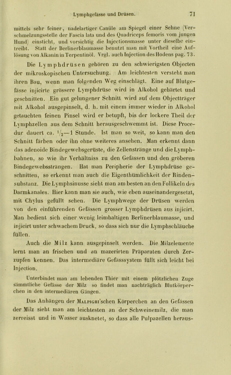 mittels sehr feiner, nadelartiger Canüle am Spiegel einer Sehne (Ver- schmelzungsstelle der Fascia lata und des Quadriceps femoris vom jungen Hund) einsticht, und vorsichtig die Injectionsmasse unter dieselbe ein- treibt. Statt der Berlinerblaumasse benutzt man mit Vortheil eine Auf- lösung von Alkanin in Terpentinöl. Vrgl. auch Injection des Hodens pag. 73. Die Lymphdrüsen gehören zu den schwierigsten Objecten der mikroskopischen Untersuchung. Am leichtesten versteht man ihren Bau, wenn man folgenden Weg einschlagt. Eine auf Blutge- fässe injicirte grössere Lymphdrüse wird in Alkohol gehärtet und geschnitten. Ein gut gelungener Schnitt wird auf dem Objectlräger mit Alkohol ausgepinselt, d. h. mit einem immer wieder in Alkohol getauchten feinen Pinsel wird er betupft, bis der lockere Theil der Lymphzellen aus dem Schnitt herausgeschwemmt ist. Diese Proce- dur dauert ca. xl<1—1 Stunde. Ist man so weit, so kann man den Schnitt färben oder ihn ohne weiteres ansehen. Man erkennt dann das adenoide Bindegewebsgerüste, die Zellenstränge und dieLymph- bahnen, so wie ihr Verhältniss zu den Gefässen und den gröberen Binclegewebssträngen. Hat man Peripherie der Lymphdrüse ge- schnitten, so erkennt man auch die Eigenthümlichkeit der Binden- substanz. Die Lymphsinusse sieht man am besten an den Follikeln des Darmkanales. Hier kann man sie auch, wie eben auseinandergeselzt, mit Chylus gefüllt sehen. Die Lymphwege der Drüsen werden von den einführenden Gefässen grosser Lymphdrüsen aus injicirt. Man bedient sich einer wenig leimhalligen Berlinerblaumasse, und injicirt unter schwachem Druck, so dass sich nur die Lymphschläuche füllen. Auch die Milz kann ausgepinselt werden. Die Milzelemente lernt man an frischen und an mazerirten Präparaten durch Zer- zupfen kennen. Das intermediäre Gefässsystem füllt sich leicht bei Injection. Unterbindet man am lebenden Thier mit einem plötzlichen Zuge sämmtliche Gefässe der Milz so findet man nachträglich Blutkörper- chen in den intermediären Gängen. Das Anhängen der MALPiGHi’schen Körperchen an den Gefässen der Milz sieht man am leichtesten an der Schweinemilz, die man zerreisst und in Wasser ausknetet, so dass alle Pulpazellen heraus-