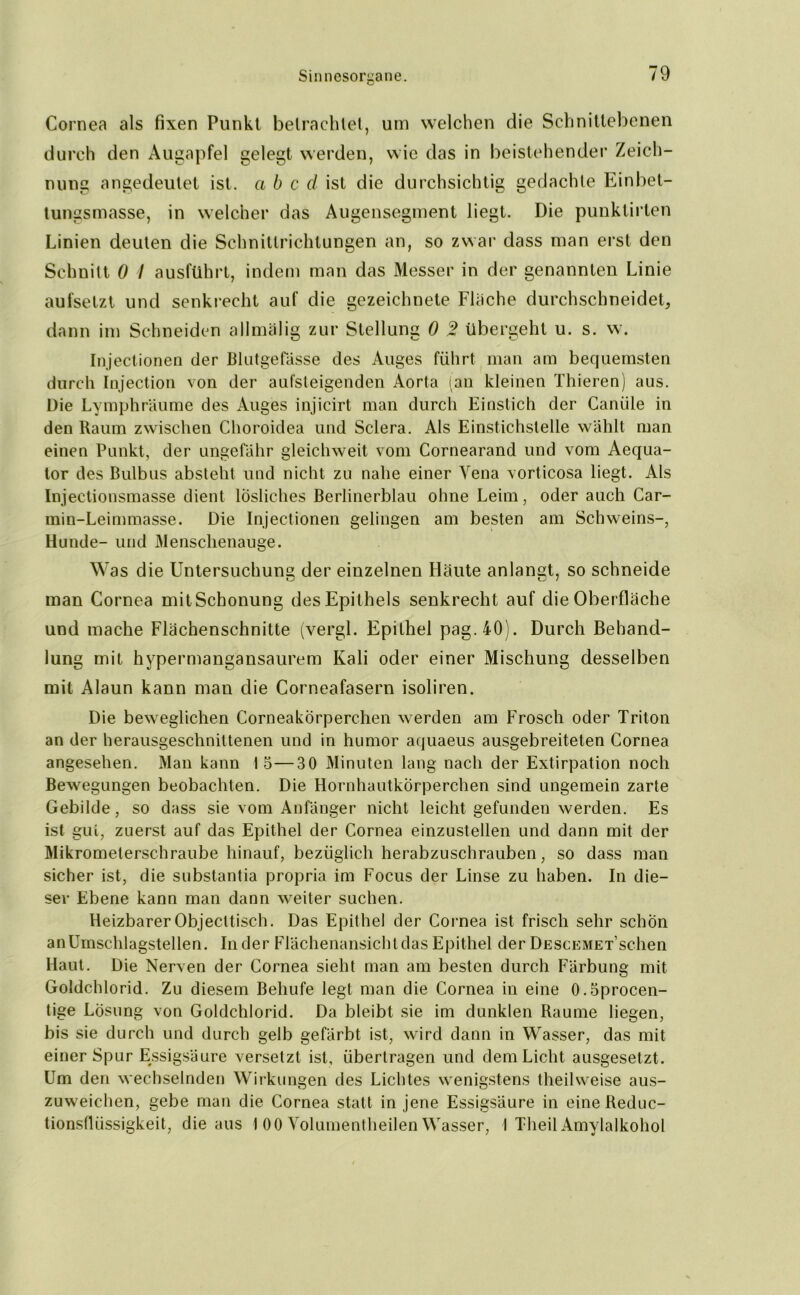 Cornea als fixen Punkt betrachtet, um welchen die Schnittebenen durch den Augapfel gelegt werden, wie das in beistehender Zeich- nung angedeutet ist. a b c d ist die durchsichtig gedachte Einbet- tungsmasse, in welcher das Augensegment liegt. Die punklirten Linien deuten die Schnittrichtungen an, so zwar dass man erst den Schnitt 0 I ausführt, indem man das Messer in der genannten Linie aufsetzt und senkrecht auf die gezeichnete Flache durchschneideb dann im Schneiden allmälig zur Stellung 0 2 übergeht u. s. w. Injectionen der Blutgefässe des Auges führt man am bequemsten durch Injection von der aufsteigenden Aorta (an kleinen Thieren) aus. Die Lymphräume des Auges injicirt man durch Einstich der Canüle in den Raum zwischen Choroidea und Sclera. Als Einstichstelle wählt man einen Punkt, der ungefähr gleichweit vom Cornearand und vom Aequa- tor des Bulbus absteht und nicht zu nahe einer Vena vorticosa liegt. Als Injeetionsmasse dient lösliches Berlinerblau ohne Leim, oder auch Car- miu-Leimmasse. Die Injectionen gelingen am besten am Schweins-, Hunde- und Menschenauge. Was die Untersuchung der einzelnen Häute anlangt, so schneide man Cornea mit Schonung des Epithels senkrecht auf die Oberfläche und mache Flächenschnitte (vergl. Epithel pag.40). Durch Behand- lung mit hypermangansaurem Kali oder einer Mischung desselben mit Alaun kann man die Corneafasern isoliren. Die beweglichen Corneakörperchen werden am Frosch oder Triton an der herausgeschnittenen und in humor aquaeus ausgebreiteten Cornea angesehen. Man kann 15—30 Minuten lang nach der Extirpation noch Bewegungen beobachten. Die Hornhautkörperchen sind ungemein zarte Gebilde, so dass sie vom Anfänger nicht leicht gefunden werden. Es ist gut, zuerst auf das Epithel der Cornea einzustellen und dann mit der Mikrometerschraube hinauf, bezüglich herabzuschrauben, so dass man sicher ist, die substantia propria im Focus der Linse zu haben. In die- ser Ebene kann man dann weiter suchen. HeizbarerObjecltisch. Das Epithel der Cornea ist frisch sehr schon anUrnschlagstellen. In der Flächenansicht das Epithel der DESCEMET’schen Haut. Die Nerven der Cornea sieht man am besten durch Färbung mit Goldchlorid. Zu diesem Behufe legt man die Cornea in eine 0.5procen- tige Lösung von Goldchlorid. Da bleibt sie im dunklen Raume liegen, bis sie durch und durch gelb gefärbt ist, wird dann in Wasser, das mit einer Spur Essigsäure versetzt ist, übertragen und dem Licht ausgesetzt. Um den wechselnden Wirkungen des Lichtes wenigstens theilweise aus- zuweichen, gebe man die Cornea statt in jene Essigsäure in eine Reduc- tionsflüssigkeit, die aus I 00 Volumentheilen Wasser, I Theil Amylalkohol