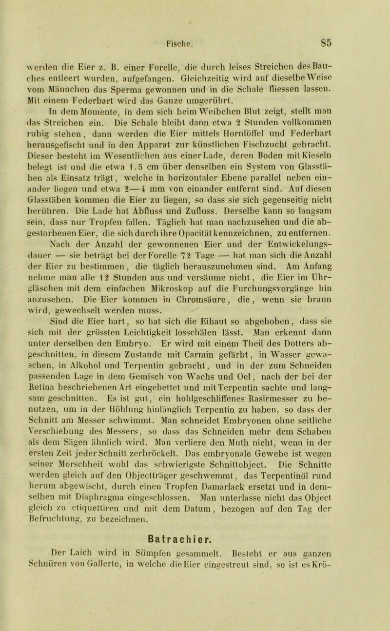 werden die Eier z. ß. einer Forelle, die durch leises Streichen des Bau- ches entleert wurden, aufgefangen. Gleichzeitig wird auf dieselbe Weise vom Männchen das Sperma gewonnen und in die Schale fliessen lassen. Mit einem Federbart wird das Ganze umgerührt. In dem Momente, in dem sich beim Weibchen Blut zeigt, stellt man das Streichen ein. Die Schale bleibt dann etwa 2 Stunden vollkommen ruhig stehen , dann werden die Eier mittels llornlöfi'el und Federbart herausgefischt und in den Apparat zur künstlichen Fischzucht gebracht. Dieser besteht im Wesentlichen aus einer Lade, deren Boden mit Kieseln belebt ist und die etwa 1.5 cm über denselben ein Svstem von Glasstä- ben als Einsatz trägt, welche in horizontaler Ebene parallel neben ein- ander liegen und etwa 2—4 mm von einander entfernt sind. Auf diesen Glasstäben kommen die Eier zu liegen, so dass sie sich gegenseitig nicht berühren. Die Lade hat Abfluss und Zufluss. Derselbe kann so langsam sein, dass nur Tropfen fallen. Täglich hat man nachzusehen und die ab- gestorbenen Eier, die sich durch ihre Opacität kennzeichnen, zu entfernen. Nach der Anzahl der gewonnenen Eier und der Entwickelungs- dauer — sie beträgt bei der Forelle 72 Tage — hat man sich die Anzahl der Eier zu bestimmen , die täglich herauszunehmen sind. Am Anfang nehme man alle 1 2 Stunden aus und versäume nicht, die Eier im Uhr- gläschen mit dem einfachen Mikroskop auf die Furchungsvorgänge hin anzusehen. Die Eier kommen in Chromsäure, die, wenn sie braun wird, gewechselt werden muss. Sind die Eier hart, so hat sich die Eihaut so abgehoben, dass sie sich mit der grössten Leichtigkeit losschälen lässt. Man erkennt dann unter derselben den Embryo. Er wird mit einem Theil des Dotters ab- geschnitten, in diesem Zustande mit Carmin gefärbt, in Wasser gewa- schen, in Alkohol und Terpentin gebracht , und in der zum Schneiden passenden Lage in dem Gemisch von Wachs und Oel, nach der bei der Retina beschriebenen Art eingebettet und mit Terpentin sachte und lang- sam geschnitten. Es ist gut, ein hohlgeschliffenes Rasirmesser zu be- nutzen, um in der Höhlung hinlänglich Terpentin zu haben, so dass der Schnitt am Messer schwimmt. Man schneidet Embryonen ohne seitliche Verschiebung des Messers, so dass das Schneiden mehr dem Schaben als dem Sägen ähnlich wird. Man verliere den Muth nicht, wenn in der ersten Zeit jeder Schnitt zerbröckelt . Das embryonale Gewebe ist w egen seiner Morschheit wohl das schwierigste Schnittobject. Die Schnitte werden gleich auf den Objectträger geschwemmt, das Terpentinöl rund herum abgewischt, durch einen Tropfen Damarlack ersetzt und in dem- selben mit Diaphragma eingeschlossen. Man unterlasse nicht das Object gleich zu etiquettiren und mit dem Datum, bezogen auf den Tag der Befruchtung, zu bezeichnen. Batrachier. Der Laich wird in Sümpfen gesammelt. Besteht er aus ganzen Schnüren von Gallerte, in welche dieEier eingestreul sind, so ist esKrö-