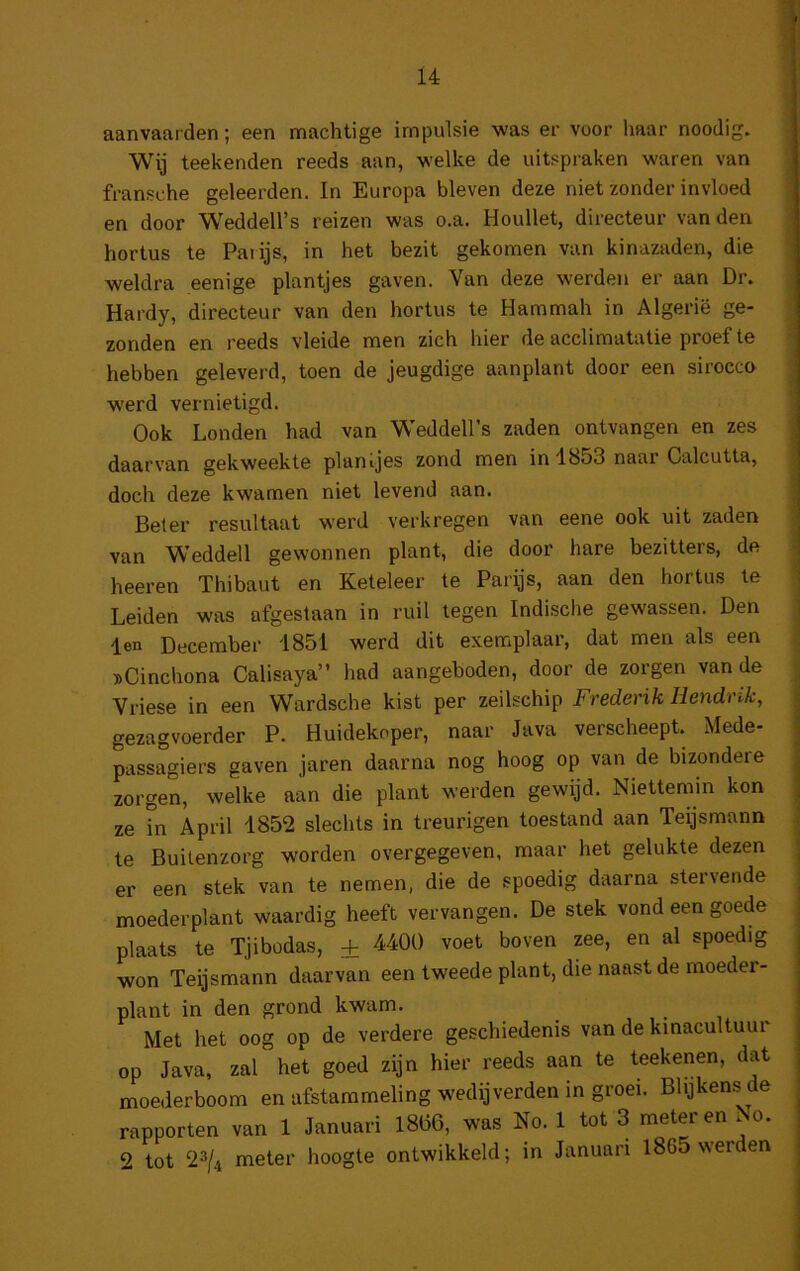 aanvaarden; een machtige impulsie was er voor haar noodig. Wij toekenden reeds aan, welke de uitspraken waren van fransche geleerden. In Europa bleven deze niet zonder invloed en door Weddell’s reizen was o.a. Houllet, directeur van den hortus te Parijs, in het bezit gekomen van kinazaden, die weldra eenige plantjes gaven. Van deze werden er aan Dr. Hardy, directeur van den hortus te Hammah in Algerië ge- zonden en reeds vleide men zich hier de acclimatatie proef te hebben geleverd, toen de jeugdige aanplant door een sirocco werd vernietigd. Ook Londen had van Weddell’s zaden ontvangen en zes daarvan gekweekte plantjes zond men in 1853 naar Calcutta, doch deze kwamen niet levend aan. Beter resultaat werd verkregen van eene ook uit zaden van Weddell gewonnen plant, die door hare bezitters, de heeren Thibaut en Keteleer te Parijs, aan den hortus te Leiden was afgestaan in ruil tegen Indische gewassen. Den len December 1851 werd dit exemplaar, dat men als een »Cinchona Calisaya” had aangeboden, door de zorgen van de Vriese in een Wardsche kist per zeilschip Frederik Hendrik, gezagvoerder P. Huidekoper, naar Java verscheept. Mede- passagiers gaven jaren daarna nog hoog op van de bizondere zorgen, welke aan die plant werden gewijd. Niettemin kon ze L April 1852 slechts in treurigen toestand aan Teijsmann te Buitenzorg worden overgegeven, maar het gelukte dezen er een stek van te nemen, die de spoedig daarna stervende moederplant waardig heeft vervangen. De stek vond een goede plaats te Tjibodas, + 4400 voet boven zee, en al spoedig won Teijsmann daarvan een tweede plant, die naast de moeder- plant in den grond kwam. Met het oog op de verdere geschiedenis van de kinacultuui op Java, zal het goed zijn hier reeds aan te teekenen, dat moederboom en afstammeling wedijverden in groei. Blijkens de rapporten van 1 Januari 1806, was No. 1 tot 3 meter en .o. 2 tot 23/4 meter hoogte ontwikkeld; in Januari 1865 werden