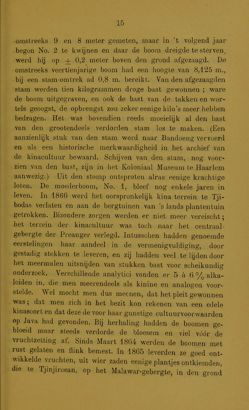 omstreeks 9 en 8 meter gemeten, maar in ’t volgend jaar begon No. 2 te kwijnen en daar de boom dreigde te sterven, werd hij op + 0,2 meter boven den grond afgezaagd. De omstreeks veertienjarige boom had een hoogte van 8,125 m., bij een stam-omtrek ad 0,8 m. bereikt. Van den afgezaagden stam werden tien kilogrammen droge bast gewonnen ; ware de boom uitgegraven, en ook de bast van de takken en wor- tels geoogst, de opbrengst zou zeker eenige kilo’s meer hebben bedragen. Het was bovendien reeds moeielijk al den bast van den grootendeels verdorden stam los te maken. (Een aanzienlijk stuk van den stam werd naar Bandoeng vervoerd en als een historische merkwaardigheid in het archief van de kinacultuur bewaard. Schijven van den stam, nog voor- zien van den bast, zijn in het Koloniaal Museum te Haarlem aanwezig.) Uit den stomp ontsproten alras eenige krachtige loten. De moederboom, No. 1, bleef nog enkele jaren in leven. In 1866 werd het oorspronkelijk kina terrein te Tji- bodas verlaten en aan de bergtuinen van ’s lands plantentuin getrokken. Bizondere zorgen werden er niet meer vereischt; het terrein der kinacultuur was toch naar het centraal- gebergte der Preanger verlegd. Intusschen hadden genoemde eerstelingen haar aandeel in de vermenigvuldiging, door gestadig stekken te leveren, en zij hadden veel te lijden door het meermalen uitsnijden van stukken bast voor scheikundig onderzoek. Verschillende analytici vonden er 5 a 6 % alka- loiden in, die men meerendeels als kinine en analogen voor- stelde. Wel mocht men dus meenen, dat het pleit gewonnen was; dat men zich in het bezit kon rekenen van een edele kinasoort en dat deze de voor haar gunstige cultuurvoorw'aarden op Java had gevonden. Bij herhaling hadden de boomen ge- bloeid maar steeds verdorde de bloesem en viel vóór de vruchtzetting af. Sinds Maart 1864 werden de boomen met rust gelaten en flink bemest. In 1865 leverden ze goed ont- wikkelde vruchten, uit wier zaden eenige plantjes ontkiemden, die te Tjinjiroean, op het Malawar-gebergte, in den grond