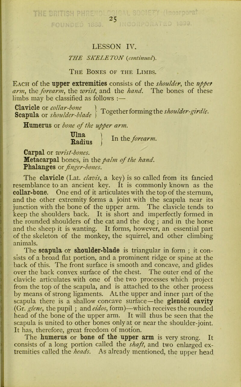 LESSON IV. THE SKELETON (continued). The Bones of the Limbs. Each of the upper extremities consists of the shoulder, the upper arm, the forearm, the wrist, and the hand. The bones of these limbs may be classified as follows :— Clavicle or collar-bone \ Scapula or shoulder-blade ) T ogether forming the shoulder-girdle. Humerus or bone of the upper arm. Radius } In ** forearm. Carpal or wrist-bones. Metacarpal bones, in the palm of the hand. Phalanges or finger-bones. The clavicle (Lat. clavis, a key) is so called from its fancied resemblance to an ancient key. It is commonly known as the collar-bone. One end of it articulates with the top of the sternum, and the other extremity forms a joint with the scapula near its junction with the bone of the upper arm. The clavicle tends to keep the shoulders back. It is short and imperfectly formed in the rounded shoulders of the cat and the dog ; and in the horse and the sheep it is wanting. It forms, however, an essential part of the skeleton of the monkey, the squirrel, and other climbing animals. The scapula or shoulder-blade is triangular in form ; it con- sists of a broad flat portion, and a prominent ridge or spine at the back of this. The front surface is smooth and concave, and glides over the back convex surface of the chest. The outer end of the clavicle articulates with one of the two processes which project from the top of the scapula, and is attached to the other process by means of strong ligaments. At the upper and inner part of the scapula there is a shallow concave surface—the glenoid cavity (Gr. glene, the pupil ; and eidos, form)—which receives the rounded head of the bone of the upper arm. It will thus be seen that the scapula is united to other bones only at or near the shoulder-joint. It has, therefore, great freedom of motion. The humerus or bone of the upper arm is very strong. It consists of a long portion called the shaft, and two enlarged ex- tremities called the heads. As already mentioned, the upper head