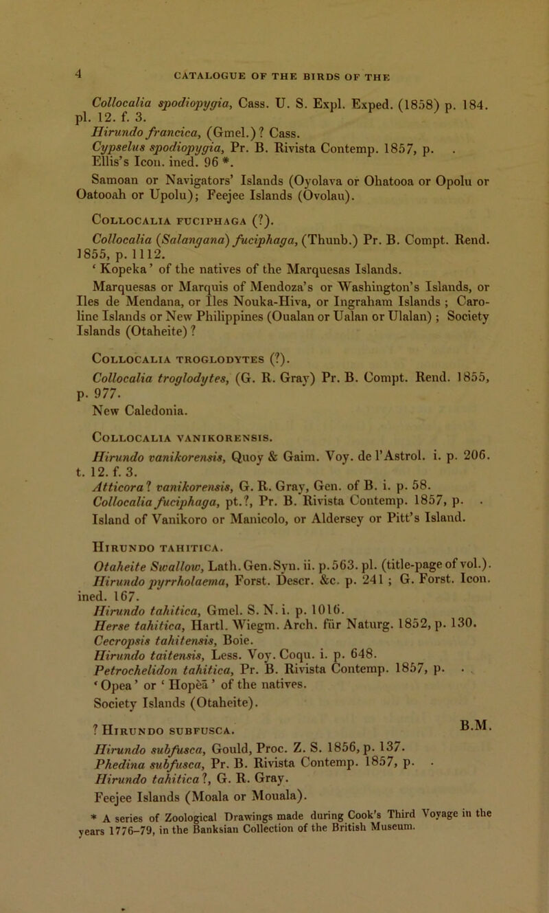 Collocalia spodiopygia, Cass. U. S. Expl. Exped. (1858) p. 184. pi. 12. f. 3. Hirundo francica, (Gmel.)? Cass. Cypselus spodiopygia, Pr. B. Rivista Contemp. 1857, p. Ellis’s Icon. ined. 96 *. Samoan or Navigators’ Islands (Oyolava or Oliatooa or Opolu or Oatooah or Upolu); Feejee Islands (Ovolau). Collocalia fuciphaga (?). Collocalia (Salangana) fuciphaga, (Thunb.) Pr. B. Compt. Rend. 1855, p. 1112. ‘ Kopeka ’ of the natives of the Marquesas Islands. Marquesas or Marquis of Mendoza’s or Washington’s Islands, or lies de Mendana, or lies Nouka-Hiva, or Ingraham Islands ; Caro- line Islands or New Philippines (Oualan or Ualan or Ulalan) ; Society Islands (Otaheite) ? Collocalia troglodytes (?). Collocalia troglodytes, (G. R. Grav) Pr. B. Compt. Rend. 1855, p. 977. New Caledonia. Collocalia vanikorensis. Hirundo vanikorensis, Quoy & Gaim. Voy. de l’Astrol. i. p. 206. t. 12. f. 3. Atticoral vanikorensis, G. R. Gray, Gen. of B. i. p. 58. Collocalia fuciphaga, pt.?, Pr. B. Rivista Contemp. 1857, p. Island of Vanikoro or Manicolo, or Aldersey or Pitt’s Island. Hirundo tahitica. Otaheite Swallow, Lath.Gen.Svn. ii. p.563. pi. (title-page of vol.). Hirundo pyrrholaema, Forst. Descr. &c. p. 241 ; G. Forst. Icon, ined. 167. Hirundo tahitica, Gmel. S. N.i. p. 1016. Herse tahitica, Hartl. Wiegm. Arch, fiir Naturg. 1852, p. 130. Cecropsis tahitensis, Boie. Hirundo taitensis, Less. Voy. Coqu. i. p. 648. Petrochelidon tahitica, Pr. B. Rivista Contemp. 1857, p. ‘ Opea ’ or ‘ Ilopea ’ of the natives. Society Islands (Otaheite). ? Hirundo subfusca. B.M. Hirundo subfusca, Gould, Proc. Z. S. 1856, p. 137. Phedina subfisca, Pr. B. Rivista Contemp. 1857, p. Hirundo tahitica l, G. R. Gray. Feejee Islands (Moala or Mouala). * A series of Zoological Drawings made during Cook’s Third Voyage in the years 1776-79, in the Banksian Collection of the British Museum.