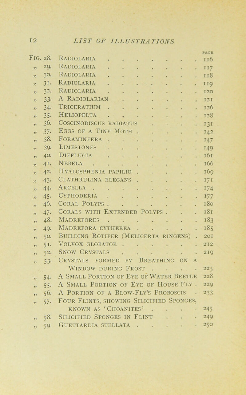 Fig. 28. Radiolaria . PAGE I l6 55 29. Radiolaria . . . . 117 55 30. Radiolaria . . . . I 18 55 31- Radiolaria . . . . 119 55 33. Radiolaria . . . . 120 55 33- A Radiolarian 121 55 34- Triceratium . . . . 126 55 35- Heliopelta . 128 55 36. COSCINODISCUS RADIATUS 131 55 37- Eggs of a Tiny Moth . 142 55 38. Foraminfera . . . . 147 55 39- Limestones . . . . 149 55 40. Difflugia . . . . l6l 55 41. Nebela 166 55 42. Hyalosphenia papilio . 169 55 43- Clathrulina elegans . 171 55 44. Arcella 174 55 45- Cyphoderia . . . . 177 55 46. Coral Polyps .... 180 55 47- Corals with Extended Polyps . 181 55 48. Madrepores . . . . 183 55 49. Madrepora cytherea . 185 55 50. Building Rotifer (Melicerta ringens) . 201 55 Si- Volvox globator . 212 55 52. Snow Crystals 219 55 53- Crystals formed by Breathing on a Window during Frost .... 225 55 54- A Small Portion of Eye of Water Beetle 228 55 55- A Small Portion of Eye of House-Fly . 229 55 56. A Portion of a Blow-Fly’s Proboscis 233 55 57- Four Flints, showing Silicified Sponges, KNOWN AS ‘CHOANITES’ .... 245 55 58. Silicified Sponges in Flint . 249 55 59- Guettardia stellata . . 250