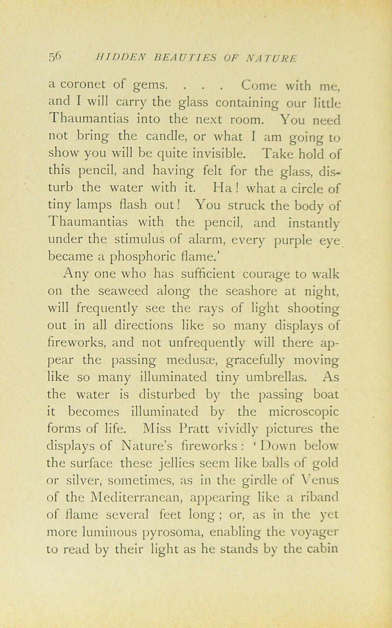 a coronet of gems. . . . Come with me, and I will carry the glass containing our little Thaumantias into the next room. You need not bring the candle, or what I am going to show you will be quite invisible. Take hold of this pencil, and having felt for the glass, dis- turb the water with it. Ha ! what a circle of tiny lamps flash out! You struck the body of Thaumantias with the pencil, and instantly under the stimulus of alarm, every purple eye became a phosphoric flame.’ Any one who has sufficient courage to walk on the seaweed along the seashore at night, will frequently see the rays of light shooting out in all directions like so many displays of fireworks, and not unfrequently will there ap- pear the passing medusae, gracefully moving like so many illuminated tiny umbrellas. As the water is disturbed by the passing boat it becomes illuminated by the microscopic forms of life. Miss Pratt vividly pictures the displays of Nature’s fireworks: ‘Down below the surface these jellies seem like balls of gold or silver, sometimes, as in the girdle of Venus of the Mediterranean, appearing like a riband of flame several feet long ; or, as in the yet more luminous pyrosoma, enabling the voyager to read by their light as he stands by the cabin
