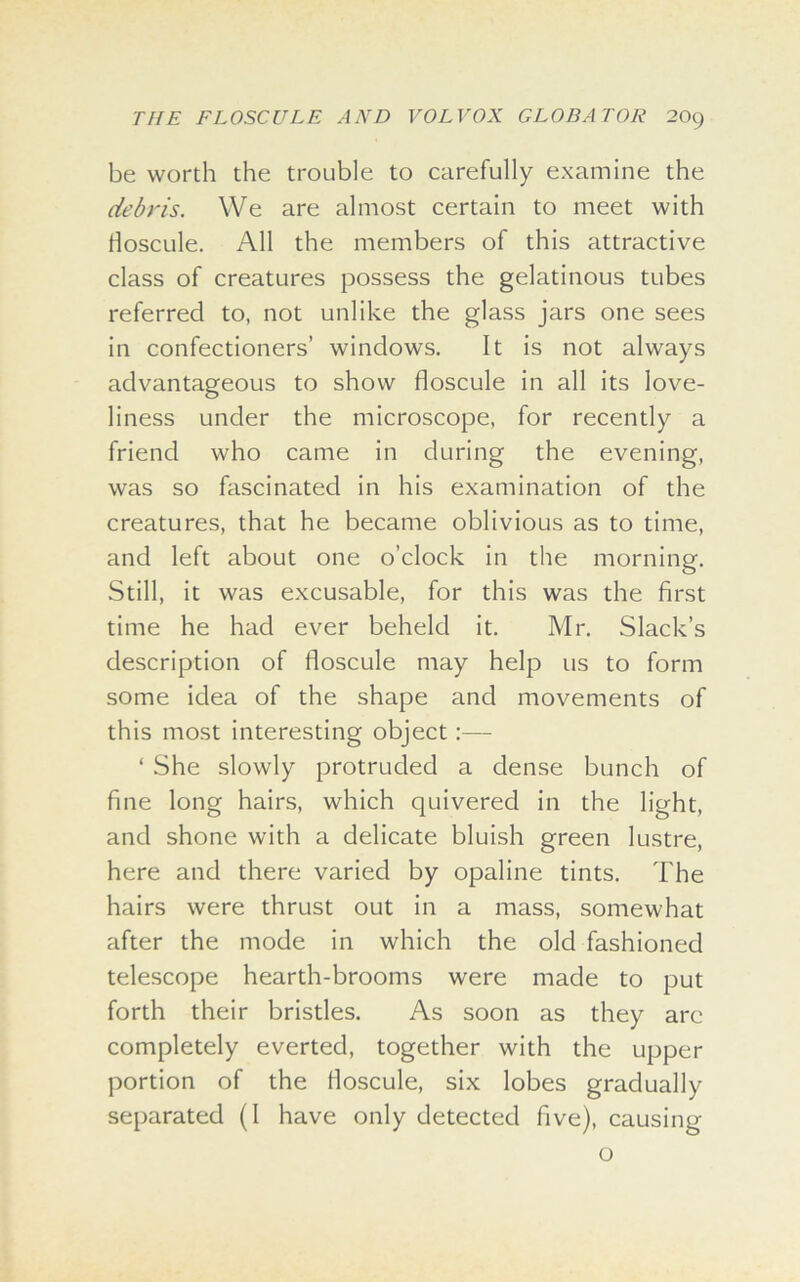 be worth the trouble to carefully examine the debris. We are almost certain to meet with floscule. All the members of this attractive class of creatures possess the gelatinous tubes referred to, not unlike the glass jars one sees in confectioners’ windows. It is not always advantageous to show floscule in all its love- liness under the microscope, for recently a friend who came in during the evening, was so fascinated in his examination of the creatures, that he became oblivious as to time, and left about one o’clock in the morning. Still, it was excusable, for this was the first time he had ever beheld it. Mr. Slack’s description of floscule may help us to form some idea of the shape and movements of this most interesting object:— ‘ She slowly protruded a dense bunch of fine long hairs, which quivered in the light, and shone with a delicate bluish green lustre, here and there varied by opaline tints. The hairs were thrust out in a mass, somewhat after the mode in which the old fashioned telescope hearth-brooms were made to put forth their bristles. As soon as they are completely everted, together with the upper portion of the floscule, six lobes gradually separated (I have only detected five), causing o