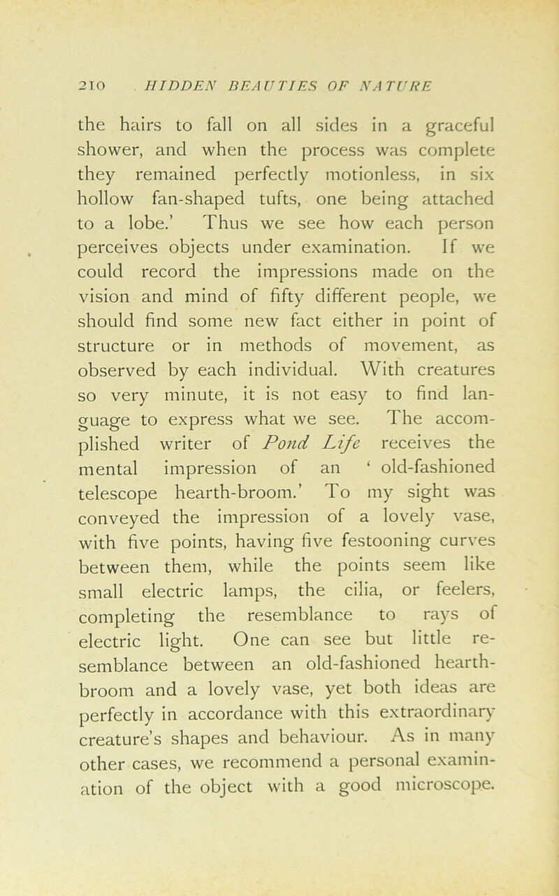 the hairs to fall on all sides in a graceful shower, and when the process was complete they remained perfectly motionless, in six hollow fan-shaped tufts, one being attached to a lobe.’ Thus we see how each person perceives objects under examination. If we could record the impressions made on the vision and mind of fifty different people, we should find some new fact either in point of structure or in methods of movement, as observed by each individual. With creatures so very minute, it is not easy to find lan- guage to express what we see. The accom- plished writer of Pond Life receives the mental impression of an ‘ old-fashioned telescope hearth-broom.’ To my sight was conveyed the impression of a lovely vase, with five points, having five festooning curves between them, while the points seem like small electric lamps, the cilia, or feelers, completing the resemblance to rays of electric light. One can see but little re- semblance between an old-fashioned hearth- broom and a lovely vase, yet both ideas are perfectly in accordance with this extraordinary creature’s shapes and behaviour. As in many other cases, we recommend a personal examin- ation of the object with a good microscope.