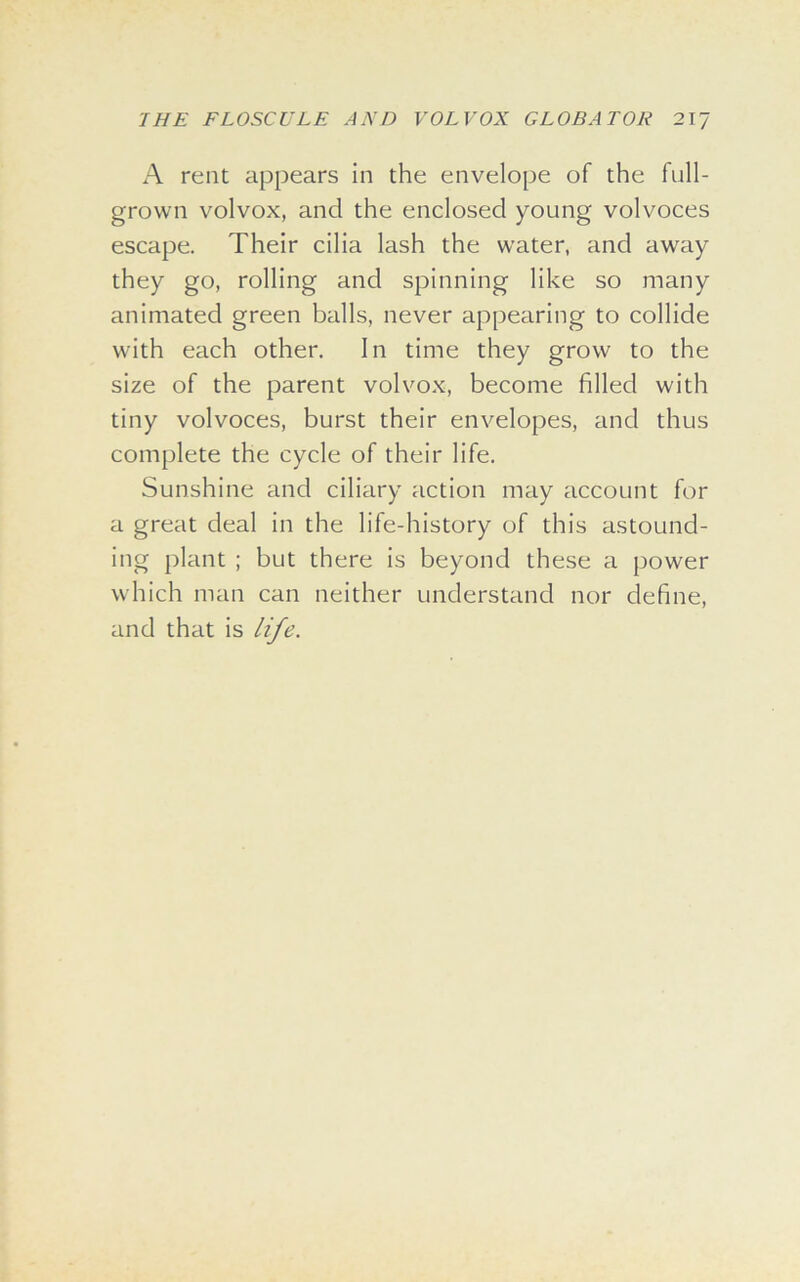 A rent appears in the envelope of the full- grown volvox, and the enclosed young volvoces escape. Their cilia lash the water, and away they go, rolling and spinning like so many animated green balls, never appearing to collide with each other. In time they grow to the size of the parent volvox, become filled with tiny volvoces, burst their envelopes, and thus complete the cycle of their life. Sunshine and ciliary action may account for a great deal in the life-history of this astound- ing plant ; but there is beyond these a power which man can neither understand nor define, and that is life.