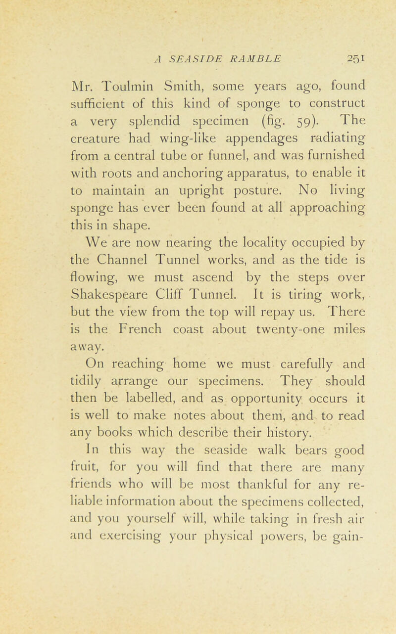 Mr. Toulmin Smith, some years ago, found sufficient of this kind of sponge to construct a very splendid specimen (fig. 59). The creature had wing-like appendages radiating from a central tube or funnel, and was furnished with roots and anchoring apparatus, to enable it to maintain an upright posture. No living sponge has ever been found at all approaching this in shape. We are now nearing the locality occupied by the Channel Tunnel works, and as the tide is flowing, we must ascend by the steps over Shakespeare Cliff Tunnel. It is tiring work, but the view from the top will repay us. There is the French coast about twenty-one miles away. On reaching home we must carefully and tidily arrange our specimens. They should then be labelled, and as opportunity occurs it is well to make notes about them, and to read any books which describe their history. In this way the seaside walk bears good fruit, for you will find that there are many friends who will be most thankful for any re- liable information about the specimens collected, and you yourself will, while taking in fresh air and exercising your physical powers, be gain-