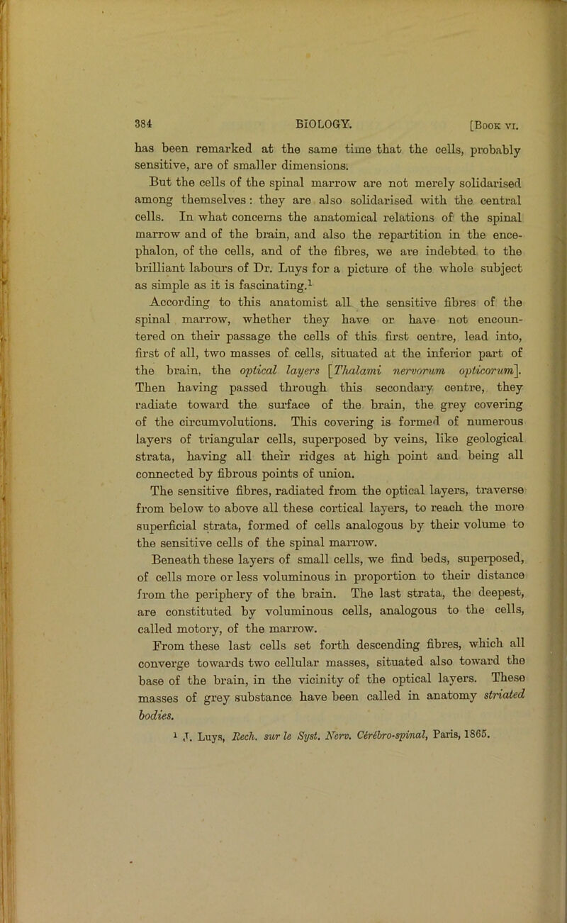 has been remarked at the same time that the cells, probably sensitive, are of smaller dimensions. But the cells of the spinal marrow are not merely solidarised among themselves: they are, also solidarised with the central cells. In what concerns the anatomical relations of the spinal marrow and of the bmin, and also the repartition in the ence- phalon, of the cells, and of the fibres, we are indebted to the brilliant labonrs of Dr. Buys for a picture of the whole subject as simple as it is fascinating.^ According to this anatomist all the sensitive fibres of the spinal marrow, whether they have or have not encoun- tered on their passage the cells of this first centre, lead into, first of all, two masses of cells, situated at the inferior pai't of the brain, the optical layers [Thalami nervorum opticorum\. Then having passed through this secondary centi’e, they radiate toward the sui’face of the brain, tbe grey covering of the circumvolutions. This covering is formed of numerous layers of triangular cells, superposed by veins, like geological strata, having all their ridges at high point and being all connected by fibrous points of union. The sensitive fibres, radiated from the optical layers, ti’averse from below to above all these cortical layers, to reach the more superficial strata, formed of cells analogous by their volume to the sensitive cells of the spinal marrow. Beneath these layers of small cells, we find beds, superposed, of cells more or less voluminous in proportion to their distance from the periphery of the brain. The last strata, the deepest, are constituted by voluminous cells, analogous to the cells, called motory, of the marrow. From these last cells set forth descending fibres, which all converge towards two cellular masses, situated also toward the base of the brain, in the vicinity of the optical layers. These masses of grey substance have been called in anatomy striated bodies. ^ ,T. Luys, Recli. sur le Syst, No'v. CMbro-spinal, Paris, 1865.