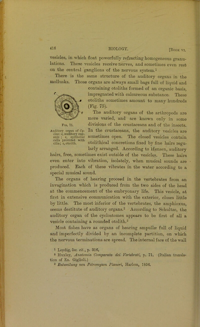 [Book vi. vesicles, in which float powerfully refracting homogeneous gi-anu- lations. These vesicles receive nerves, and sometimes even rest on the central ganglions of the neiwous system. ^ There is the same structui-e of the auditory organs in the mollusks. Those organs are always small bags full of liquid and containing otoliths formed of an organic basis, impregnated with calcareous substance. These otoliths sometimes amount to many hundreds (Fig. 75). The auditory organs of the arthi-opods are more varied, and are known only in some divisions of the crustaceans and of the insects. In the crustaceans, the auditory vesicles are sometimes open. The closed vesicles contain otolithical concretions fixed by fine hairs regu- larly arranged. According to llensen, auditory hairs, free, sometimes exist outside of the vesicles. These hairs even enter into vibration, isolately, when musical sounds are produced. Each of these vibrates in the water according to a special musical sound. The organs of hearing proceed in the vertebrates from an invagination which is produced from the two sides of the head at the commencement of the embryonary life. This vesicle, at fii'.st in extensive communication with the exterior, closes little by little. The most inferior of the vertebrates, the amphioxus, seems destitute of auditory organs. ^ According to Schultze, the auditory organ of the cyclostomes appears to be first of all a vesicle containing a rounded otolith.^ Most fishes have as organs of hearing ampullje full of liquid and imperfectly divided by an incomplete partition, on which the nervous terminations are spread. The internal face of the wall Fig. 75. Auditory organ of Cy- clas: c, auditory cap- sule ; c, epithelial cells provided with cilia; o,otolith. ^ Leydig, loc. cit., p. 316. 2 Huxley, Anatomia Comparata dei Vertebrati, p. 71. tioii of Ell. Giglioli.) ® Entweilung von Petromyzon Planeri, Harlem, 1866. (Italian transla-