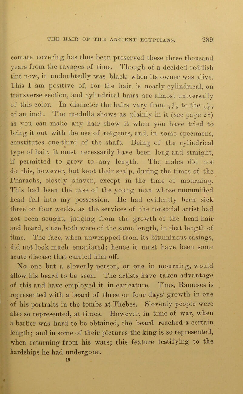 comate covering lias thus been preserved these three thousand years from the ravages of time. Though of a decided reddish tint now, it undoubtedly was black when its owner was alive. This I am positive of, for the hair is nearly cylindrical, on transverse section, and cylindrical hairs are almost universally of this color. In diameter the hairs vary from to the 3^- of an inch. The medulla shows as plainly in it (see page 28) as you can make any hair show it when you have tried to bring it out with the use of reagents, and, in some specimens, constitutes one-third of the shaft. Being of the cylindrical type of hair, it must necessarily have been long and straight, if permitted to grow to any length. The males did not do this, however, but kept their scalp, during the times of the Pharaohs, closely shaven, except in the time of mourning. This had been the case of the young man whose mummified head fell into my possession. He had evidently been sick three or four weeks, as the services of the tonsorial artist had not been sought, judging from the growth of the head hair and beard, since both were of the same length, in that length of time. The face, when unwrapped from its bituminous casings, did not look much emaciated; hence it must have been some acute disease that carried him off. No one but a slovenly person, or one in mourning, would allow his beard to be seen. The artists have taken advantage of this and have employed it in caricature. Thus, Rameses is represented with a beard of three or four days’ growth in one of his portraits in the tombs at Thebes. Slovenly people were also so represented, at times. However, in time of war, when a barber was hard to be obtained, the beard reached a certain length; and in some of their pictures the king is so represented, when returning from his wars; this feature testifying to the hardships he had undergone. 19