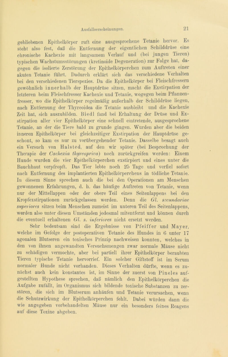 gebliebenen Epithelkörper ruft eine ausgesprochene Tetanie hervor. Es steht also fest, daß die Entfernung der eigentlichen Schilddrüse eine chronische Kachexie mit langsamem Verlauf und (bei jungen Tieren) typischen Wachstumsstörungen (kretinoide Degeneration) zur Folge hat, da- gegen die isolierte Zerstörung der Epithelkörperchen zum Auftreten einer akuten Tetanie führt. Dadurch erklärt sich das verschiedene Verhalten bei den verschiedenen Tierspezies. Da die Epithelkörper bei Fleischfressern gewöhnlich innerhalb der Hauptdrüse sitzen, macht die Exstirpation der letzteren beim Fleischfresser Kachexie und Tetanie, wogegen beim Pflanzen- fresser, wo die Epithelkörper regelmäßig außerhalb der Schilddrüse liegen, nach Entfernung der Thyreoidea die Tetanie ausbleibt und die Kachexie Zeit hat, sich auszubilden. Biedl fand bei Erhaltung der Drüse und Ex- stirpation aller vier Epithelkörper eine schnell eintretende, ausgesprochene Tetanie, an der die Tiere bald zu gründe gingen. Wurden aber die beiden inneren Epithelkörper bei gleichzeitiger Exstirpation der Hauptdrüse ge- schont, so kam es nur zu vorübergehender Tetanie. Dasselbe besagt auch ein Versuch von Halsted, auf den wir später (bei Besprechung der Therapie der Cachexia thyreopriva) noch zurückgreifen werden: Einem Hunde wurden die vier Epithelkörperchen exstirpiert und eines unter die Bauchhaut verpfropft. Das Tier lebte noch 25 Tage und verfiel sofort nach Entfernung des implantierten Epithelkörperchens in tödliche Tetanie. In diesem Sinne sprechen auch die bei den Operationen am Menschen gewonnenen Erfahrungen, d. h. das häufige Auftreten von Tetanie, wenn nur der Mittellappen oder der obere Teil eines Seitenlappens bei den Kropfexstirpationen zurückgelassen werden. Denn die Gl. secundariae superiores sitzen beim Menschen zumeist im unteren Teil des Seitenlappens, werden also unter diesen Umständen jedesmal mitentfernt und können durch die eventuell erhaltenen Gl. s. inferiores nicht ersetzt werden. Sehr bedeutsam sind die Ergebnisse von Pfeiffer und Mayer, welche im Gefolge der postoperativen Tetanie des Hundes in 6 unter 17 agonalen Blutseren ein toxisches Prinzip naclrweisen konnten, welches in den von ihnen angewandten Versuchsmengen zwar normale Mäuse nicht zu schädigen vermochte, aber bei partiell ihrer Epithelkörper beraubten Tieren typische Tetanie hervorrief. Ein solcher Giftstoff ist im Serum normaler Hunde nicht vorhanden. Dieses Verhalten dürfte, wenn es zu- nächst auch kein konstantes ist, im Sinne der zuerst von Pineies auf- gestellten Hypothese sprechen, daß nämlich den Epithelkörperchen die Aufgabe zufällt, im Organismus sich bildende toxische Substanzen zu zer- stören, die sich im Blutserum anhäufen und Tetanie verursachen, wenn die Schutzwirkung der Epithelkörperchen fehlt. Dabei würden dann die wie angegeben vorbehandelten Mäuse nur ein besonders feines Reagens O auf diese Toxine abgeben.