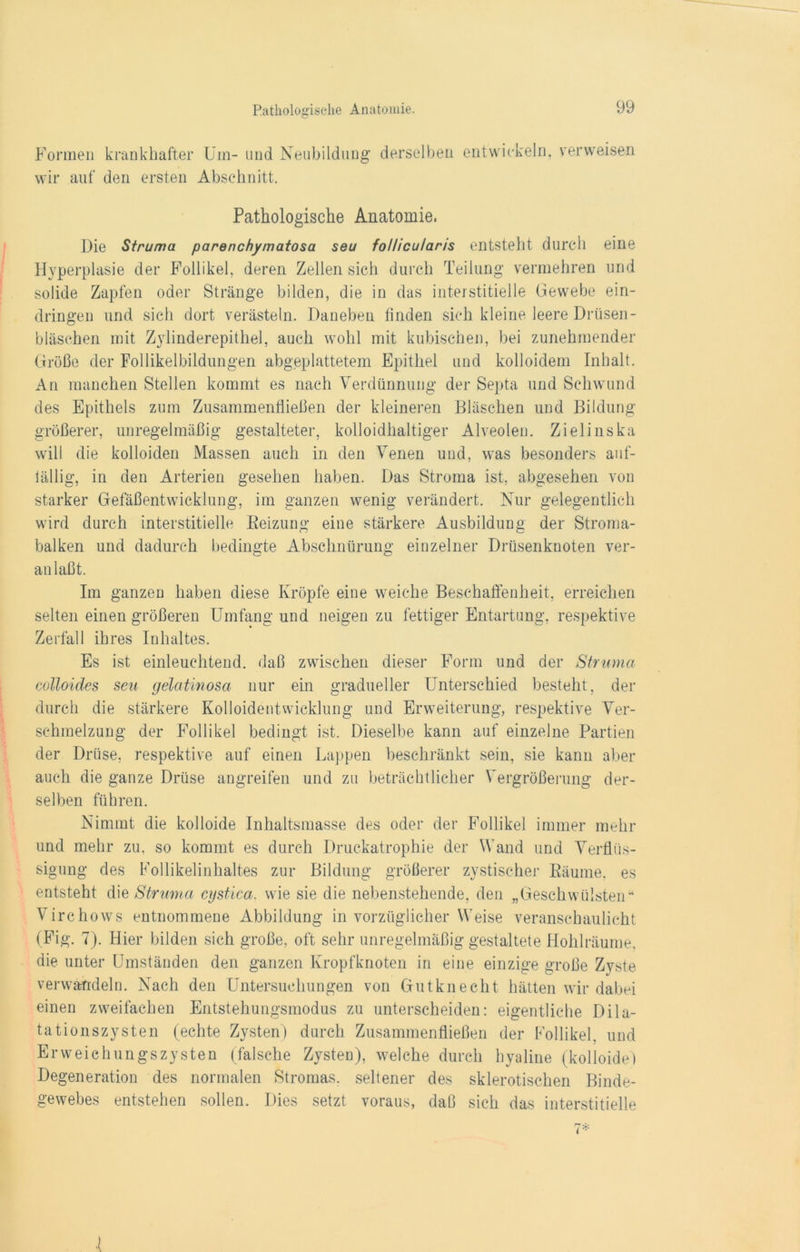 Formen krankhafter Um- und Neubildung derselben entwickeln, verweisen wir auf den ersten Abschnitt. Pathologische Anatomie. Die Struma parenchymatosa seu follicularis entsteht durch eine Hyperplasie der Follikel, deren Zellen sich durch Teilung vermehren und solide Zapfen oder Stränge bilden, die in das interstitielle Gewebe ein- dringen und sich dort verästeln. Daneben finden sich kleine leere Drüsen- bläschen mit Zylinderepithel, auch wohl mit kubischen, bei zunehmender Größe der Follikelbildungen abgeplattetem Epithel und kolloidem Inhalt. An manchen Stellen kommt es nach Verdünnung der Septa und Schwund des Epithels zum Zusammenfließen der kleineren Bläschen und Bildung größerer, unregelmäßig gestalteter, kolloidhaltiger Alveolen. Zielinska will die kolloiden Massen auch in den Venen und, was besonders auf- fällig, in den Arterien gesehen haben. Das Stroma ist, abgesehen von starker Gefäßentwicklung, im ganzen wenig verändert. Nur gelegentlich wird durch interstitielle Beizung eine stärkere Ausbildung der Stroma- balken und dadurch bedingte Abschnürung einzelner Drüsenknoten ver- anlaßt. Im ganzen haben diese Kröpfe eine weiche Beschaffenheit, erreichen selten einen größeren Umfang und neigen zu fettiger Entartung, respektive Zerfall ihres Inhaltes. Es ist einleuchtend, daß zwischen dieser Form und der Struma colloides seu gelatinosa nur ein gradueller Unterschied besteht, der durch die stärkere Kolloidentwicklung und Erweiterung, respektive Ver- schmelzung der Follikel bedingt ist. Dieselbe kann auf einzelne Partien der Drüse, respektive auf einen Lappen beschränkt sein, sie kann aber auch die ganze Drüse an greifen und zu beträchtlicher Vergrößerung der- selben führen. Nimmt die kolloide Inhaltsmasse des oder der Follikel immer mehr und mehr zu, so kommt es durch Druckatrophie der Wand und Verflüs- sigung des Follikelinhaltes zur Bildung größerer zystischer Bäume, es entsteht die Struma cystica. wie sie die nebenstehende, den „Geschwülsten“ Virchows entnommene Abbildung in vorzüglicher Weise veranschaulicht (Fig. 7). Hier bilden sich große, oft sehr unregelmäßig gestaltete Hohlräume, die unter Umständen den ganzen Kropfknoten in eine einzige große Zyste verwandeln. Nach den Untersuchungen von Gutknecht hätten wir dabei einen zweifachen Entstehungsmodus zu unterscheiden: eigentliche Dila- tationszysten (echte Zysten) durch Zusammenfließen der Follikel, und Erweichungszysten (falsche Zysten), welche durch hyaline (kolloide) Degeneration des normalen Stromas, seltener des sklerotischen Binde- gewebes entstehen sollen. Dies setzt voraus, daß sich das interstitielle