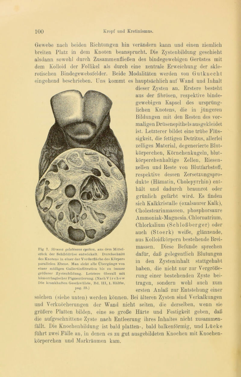 Gewebe nach beiden Richtungen hin verändern kann und einen ziemlich breiten Platz in dem Knoten beansprucht. Die Zystenbildung geschieht alsdann sowohl durch Zusammenfließen des bindegewebigen Gerüstes mit dem Kolloid der Follikel als durch eine zentrale Erweichung der skle- rotischen Bindegewebsfelder. Beide Modalitäten werden von Gutknecht eingehend beschrieben. Uns kommt es hauptsächlich auf Wand und Inhalt dieser Zysten an. Erstere besteht aus der fibrösen, respektive binde- gewebigen Kapsel des ursprüng- lichen Knotens, die in jüngeren Bildungen mit den Resten des vor- maligen Drüsenepithels ausgekleidet ist. Letzterer bildet eine trübe Flüs- sigkeit, die fettigen Detritus, allerlei zeitiges Material, degenerierte Blut- körperchen, Körnchenkugeln, blut- körperchenhaltige Zellen, Riesen- zellen und Reste von Blutfarbstoff, respektive dessen Zersetzungspro- dukte (Hämatin, Cholepyrrhin) ent- hält, und dadurch braunrot oder grünlich gefärbt wird. Es finden sich Kalkkristalle (oxalsaurer Kalk), Cholestearinmassen, phosphorsaure Ammoniak-Magnesia, Chlornatrium, Chlorkalium (Schloßberger) oder auch (Stoerk) weiße, glänzende, aus Kolloidkörpern bestehende Brei- massen. Diese Befunde sprechen dafür, daß gelegentlich Blutungen in den Zysteninhalt stattgehabt haben, die nicht nur zur Vergröße- rung einer bestehenden Zyste bei- tragen, sondern wrohl auch zum ersten Anlaß zur Entstehung einer solchen (siehe unten) werden können. Bei älteren Zysten sind Verkalkungen und Verknöcherungen der Wand nicht selten, die derselben, wenn sie größere Platten bilden, eine so große Härte und Festigkeit geben, daß die aufgeschnittene Zyste nach Entleerung ihres Inhaltes nicht zusammen- fällt. Die Knochenbildung ist bald platten-, bald balkenförmig, und Lücke führt zw^ei Fälle an, in denen es zu gut ausgebildeten Knochen mit Knochen- körperchen und Markräumen kam. Fig 7. Struma gelatinosa cystica, aus dem Mittel- sttick der Schilddrüse entwickelt. Durchschnitt des Knotens in einer der Vorderfläche des Körpers parallelen Ebene. Man sieht alle Übergänge von einer mäßigen Gallertinfiltratiou bis zu immer größerer Zystenbildung. Letztere überall mit hämorrhagischer Pigmentierung. (Nach Virchow Die krankhaften Geschwülste, Bd. 111, 1. Hälfte, pag. 33.)