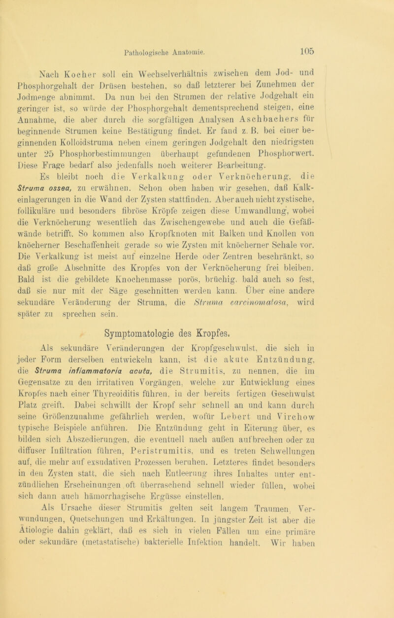 Nach Kocher soll ein Wechselverhältnis zwischen dem Jod- und Phosphorgehalt der Drüsen bestehen, so daß letzterer bei Zunehmen der Jodmenge abnimmt. Da nun bei den Strumen der relative Jodgehalt ein geringer ist, so würde der Phosphorgehalt dementsprechend steigen, eine Annahme, die aber durch die sorgfältigen Analysen Aschbachers für beginnende Strumen keine Bestätigung findet. Er fand z. ß. bei einer be- ginnenden Kolloidstruma neben einem geringen Jodgehalt den niedrigsten unter 25 Phosphorbestimmungen überhaupt gefundenen Phosphorwert. Diese Frage bedarf also jedenfalls noch weiterer Bearbeitung. Es bleibt noch die Verkalkung oder Verknöcherung, die Struma ossea, zu erwähnen. Schon oben haben wir gesehen, daß Kalk- einlagerungen in die Wand der Zysten stattfinden. Aber auch nicht zystische, follikuläre und besonders fibröse Kröpfe zeigen diese Umwandlung, wobei die Verknöcherung wesentlich das Zwischengewebe und auch die Gefäß- wände betrifft. So kommen also Kropfknoten mit Balken und Knollen von knöcherner Beschaffenheit gerade so wie Zysten mit knöcherner Schale vor. Die Verkalkung ist meist auf einzelne Herde oder Zentren beschränkt, so daß große Abschnitte des Kropfes von der Verknöcherung frei bleiben. Bald ist die gebildete Knoehenmasse porös, brüchig, bald auch so fest, daß sie nur mit der Säge geschnitten werden kann. Über eine andere sekundäre Veränderung der Struma, die Struma earcinomatosa, wird später zu sprechen sein. Symptomatologie des Kropfes. Als sekundäre Veränderungen der Kropfgeschwulst, die sich in jeder Form derselben entwickeln kann, ist die akute Entzündung, die Struma inflammatoria acuta, die Strumitis, zu nennen, die im Gegensätze zu den irritativen Vorgängen, welche zur Entwicklung eines Kropfes nach einer Thyreoiditis führen, in der bereits fertigen Geschwulst Platz greift. Dabei schwillt der Kropf sehr schnell an und kann durch seine Größenzunahme gefährlich werden, wofür Lebert und Virchow typische Beispiele anführen. Die Entzündung geht in Eiterung über, es bilden sich Abszedierungen, die eventuell nach außen auf brechen oder zu diffuser Infiltration führen, Peristrumitis, und es treten Schwellungen auf, die mehr auf exsudativen Prozessen beruhen. Letzteres findet besonders in den Zysten statt, die sich nach Entleerung ihres Inhaltes unter ent- zündlichen Erscheinungen oft überraschend schnell wieder füllen, wobei sich dann auch hämorrhagische Ergüsse einstellen. Als Ursache dieser Strumitis gelten seit langem Traumen Ver- wundungen, Quetschungen und Erkältungen. In jüngster Zeit ist aber die Ätiologie dahin geklärt, daß es sich in vielen Fällen um eine primäre oder sekundäre (metastatische) bakterielle Infektion handelt. Wir haben