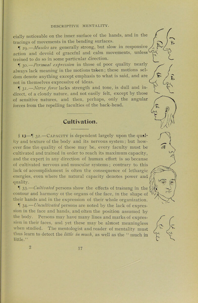 ciall}' noticeable on the inner surface of the hands, and in the tracings of movements in the bending surfaces. ^ 29.—Muscles are generally strong, but slow in responsive action and devoid of graceful and calm movements, unless trained to do so in some particular direction. ^ 30.—Pn-smial expression in those of poor quality nearly ahva3'S lack meaning in the motions taken; these motions sel- dom denote anything except emphasis to what is said, and are not in themselves expressive of ideas. I' 31.—Nerve force \2iQks strength and tone, is dull and in- direct, of a cloudy nature, and not easily felt, except by those of sensitive natures, and then, perhaps, only the angular forces from the repelling faculties of the back-head. Cultivation. § 13—1i 32.—Capacity is dependent largely upon the qual- ity and texture of the body and its nervous system; but how- ever fine the quality of these may be, every faculty must be cultivated and trained in order to reach its maximum capacity, and the expert in any direction of human effort is so because of cultivated ner\'OUS aud muscular s}'stems; contrarj^ to this lack of accomplishment is often the consequence of lethargic energies, even where the natural capacity denotes power and quality. 1l 33.—Cultivated persons show the effects of training in the contour and harmony ot the organs of the face, in the shape of their hands and in the expression of their whole organization. ^ 34-—Uncultivated persons are noted by the lack of expres- sion in the face and hands, and often the position assumed b}’’ the body. Persons may have many lines and marks of expres- sion in their faces, and yet the.se may be almost meaningless when studied. The mentologi.st and reader of mentality must thus learn to detect the little in much, as well as the “ much iu little.” 2