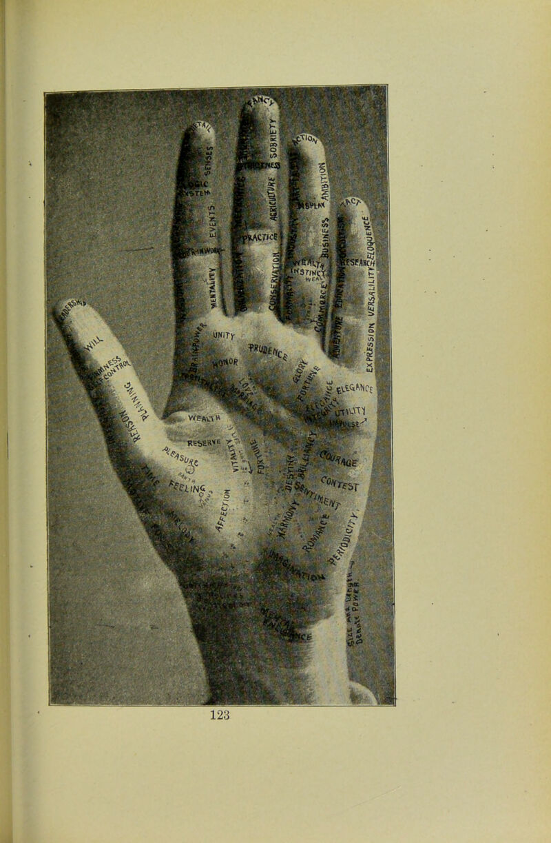 No text description is available for this image